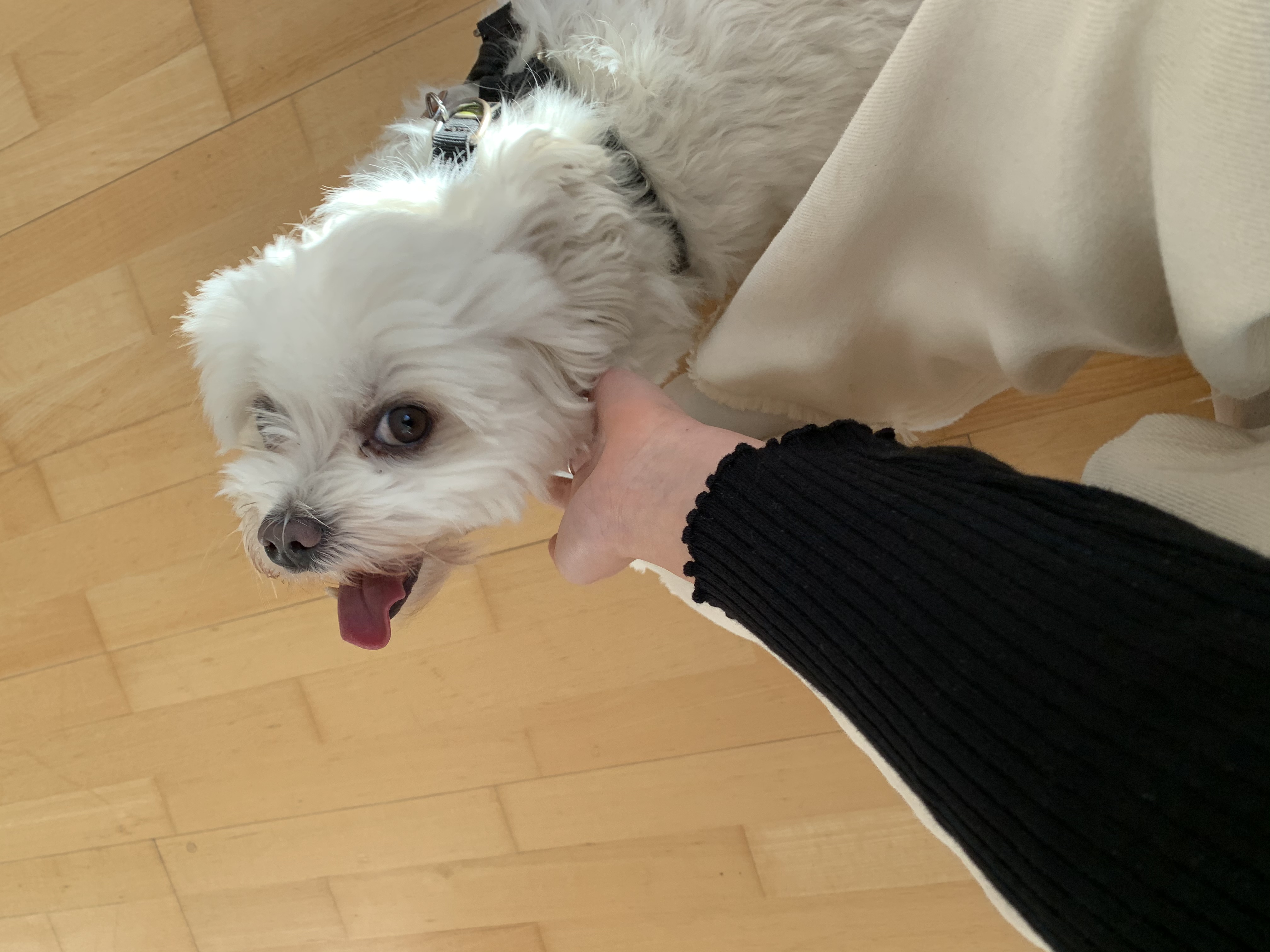 image-5