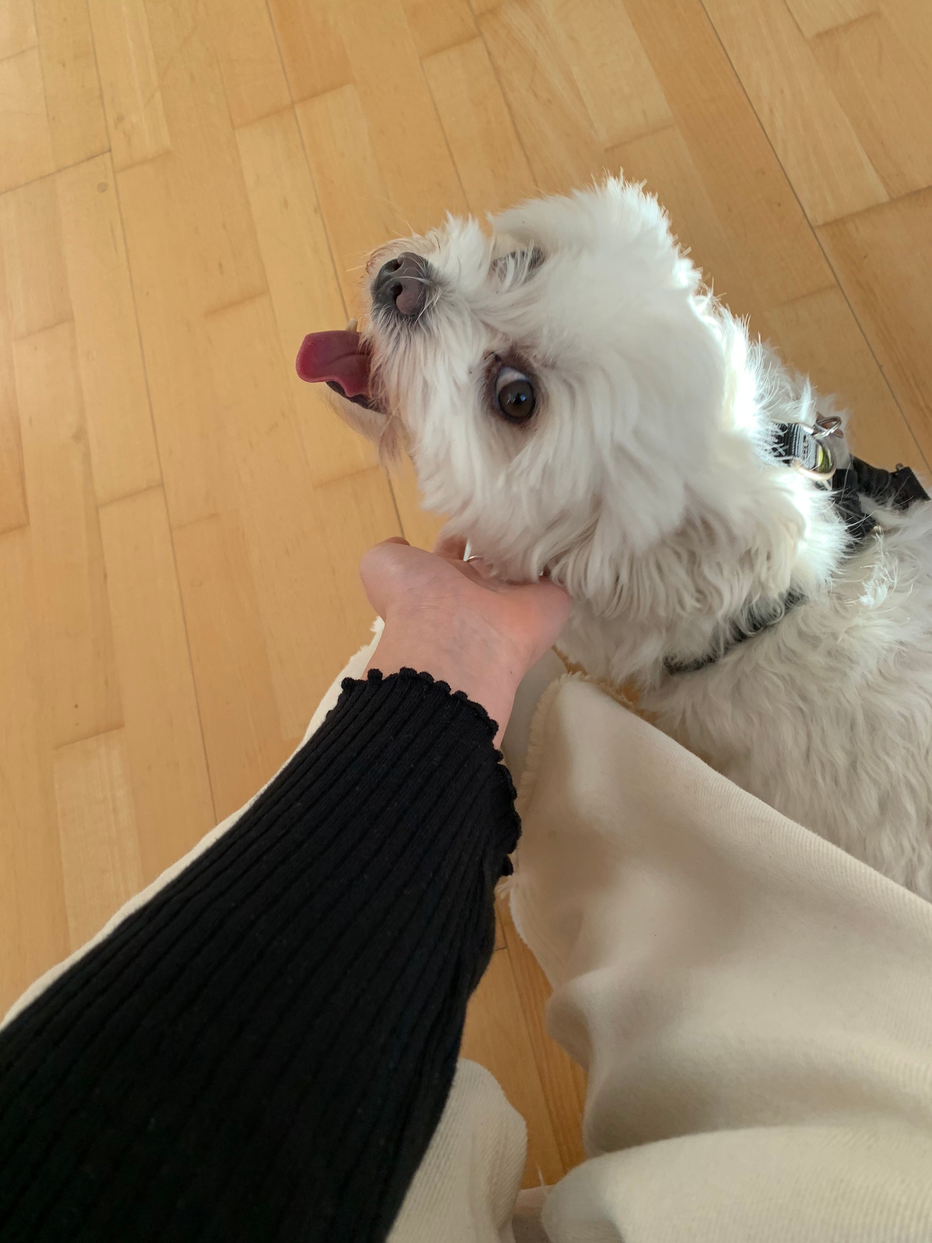 image-5