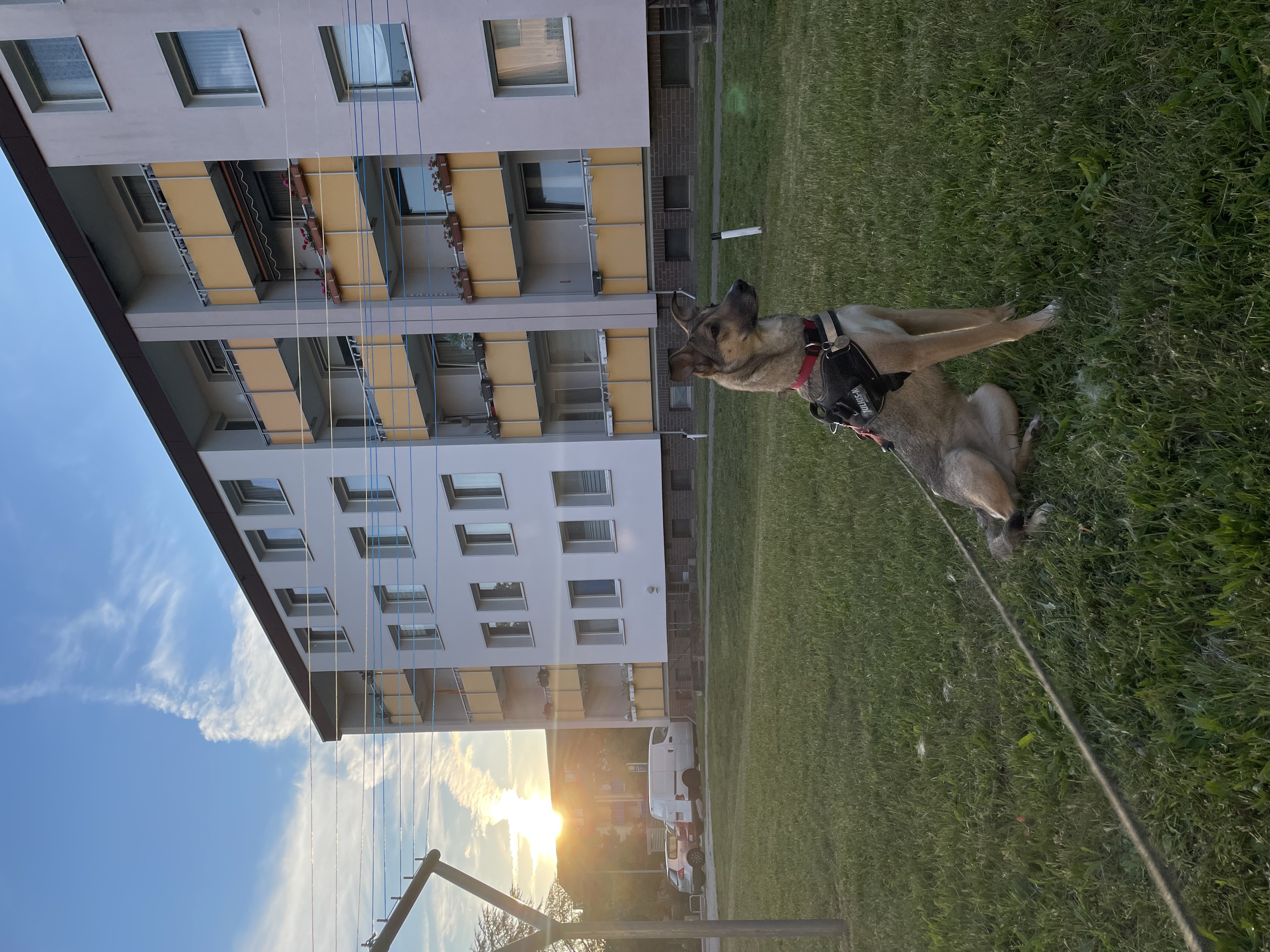 image-8