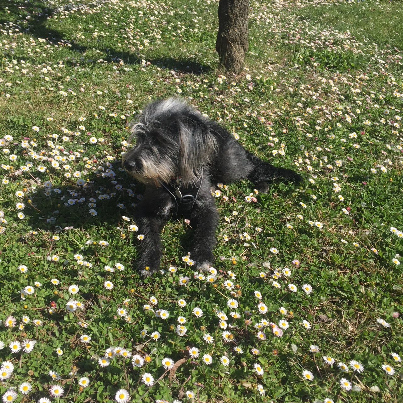 image-7