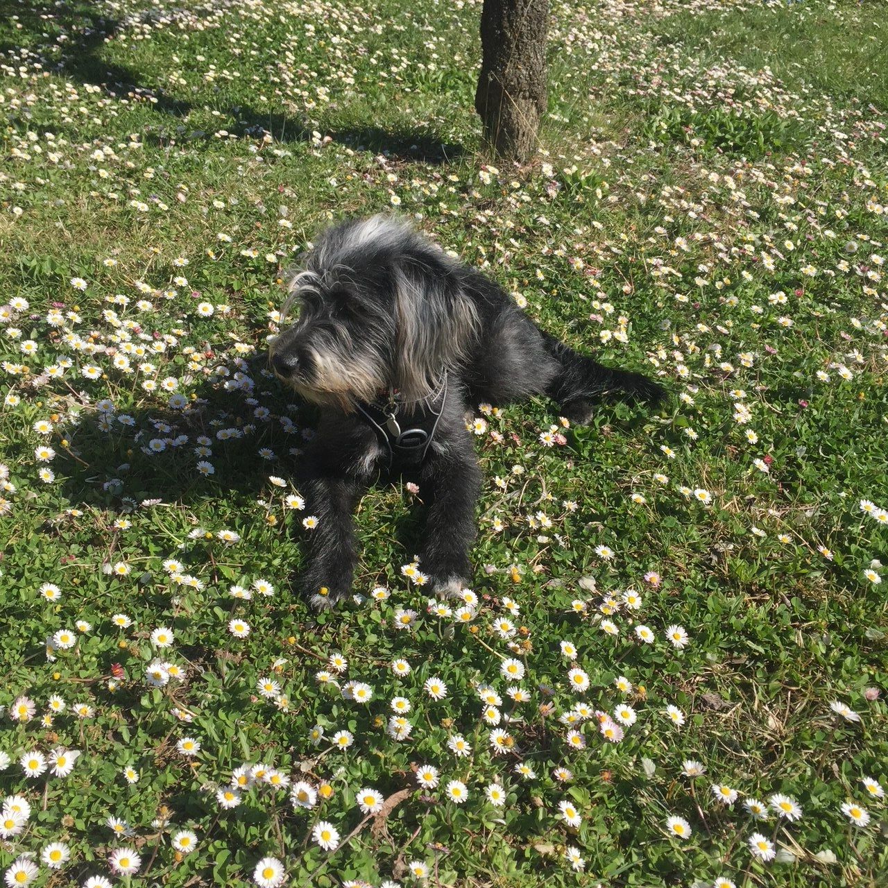 image-7