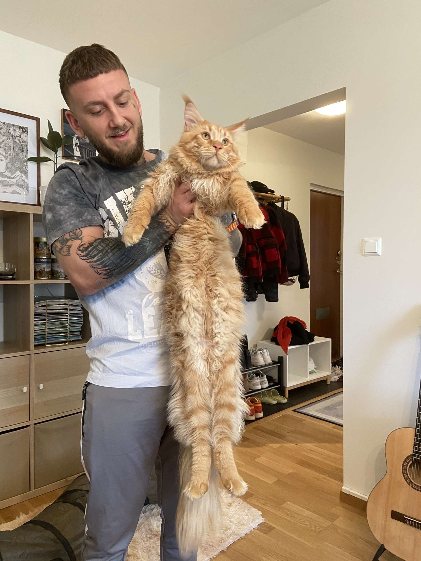 image-4