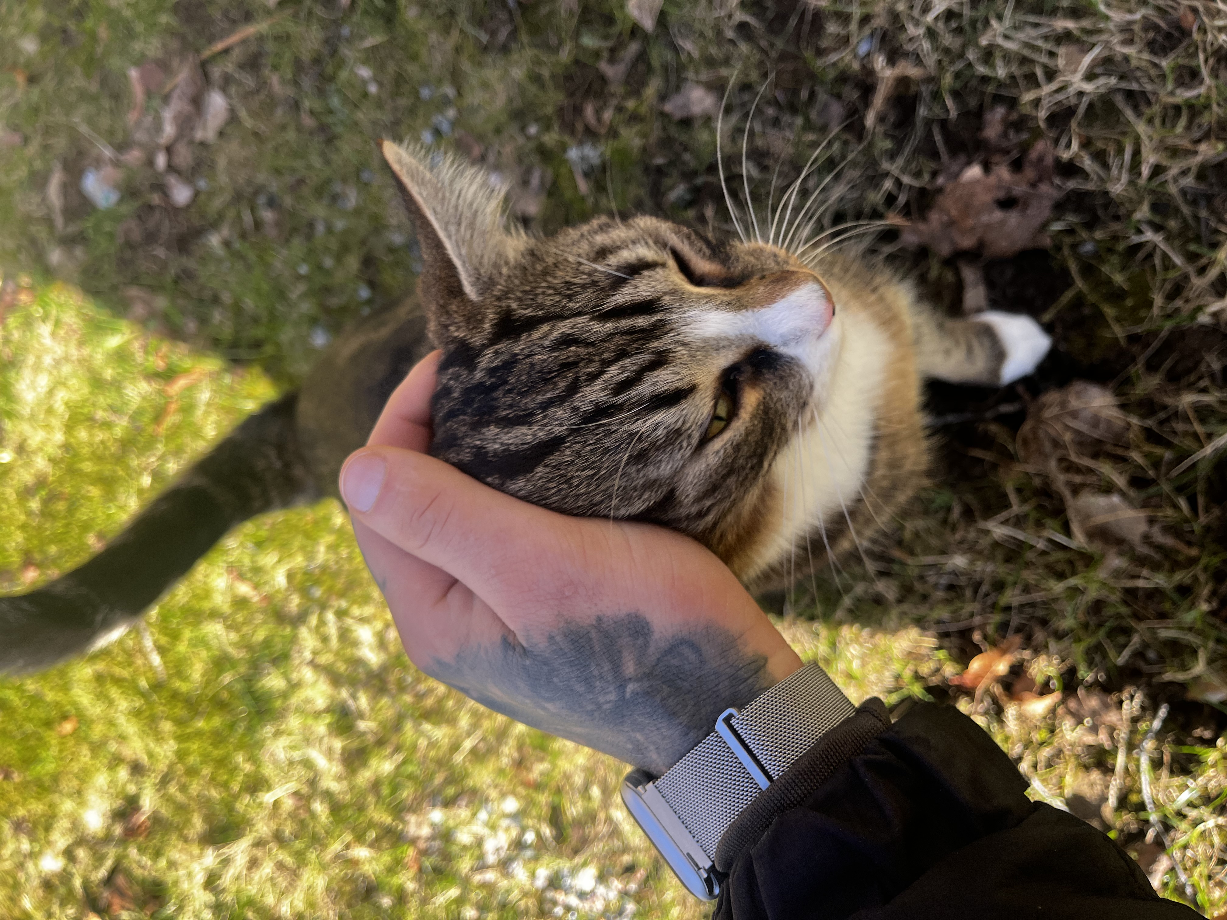 image-7