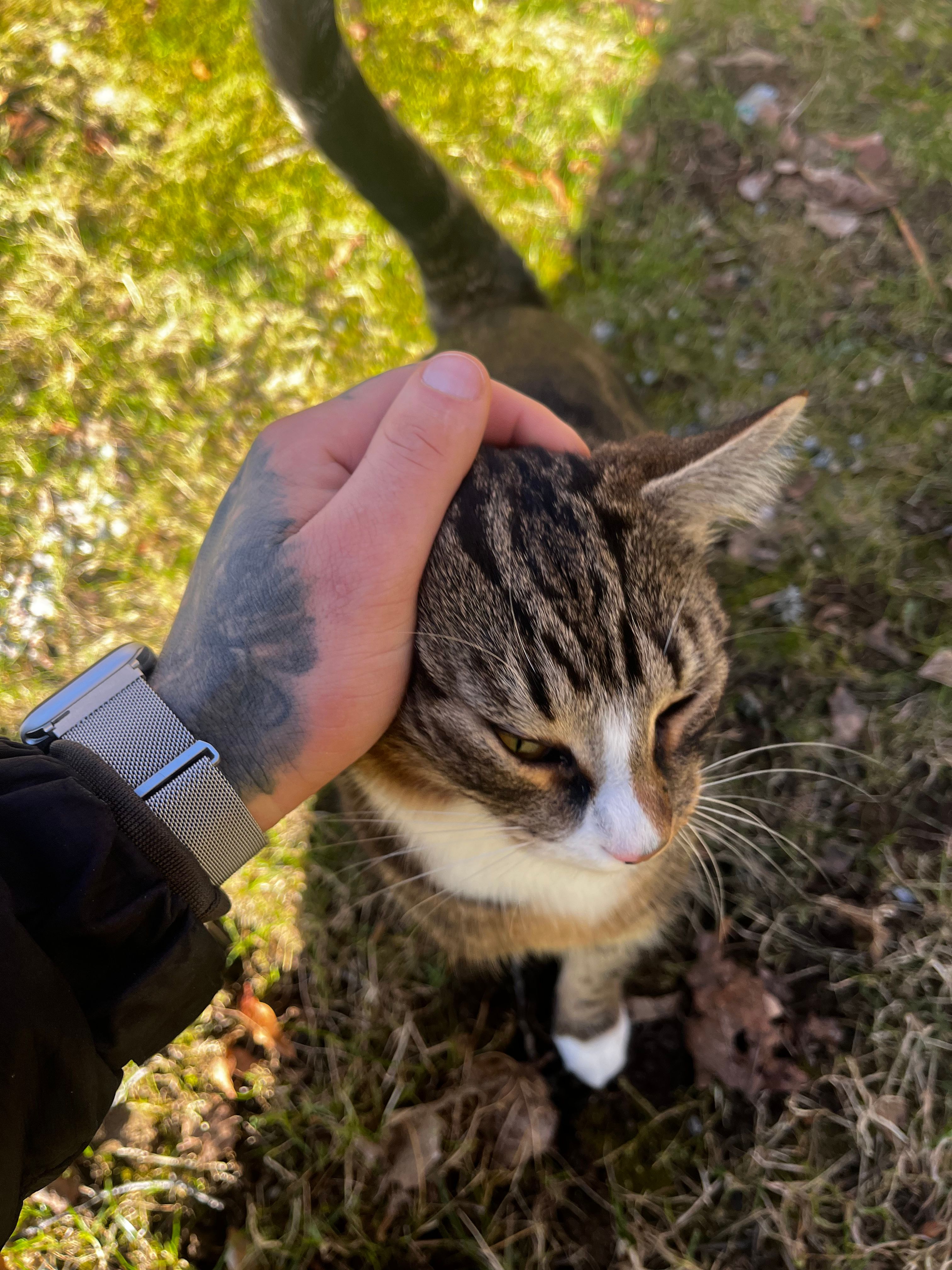image-7