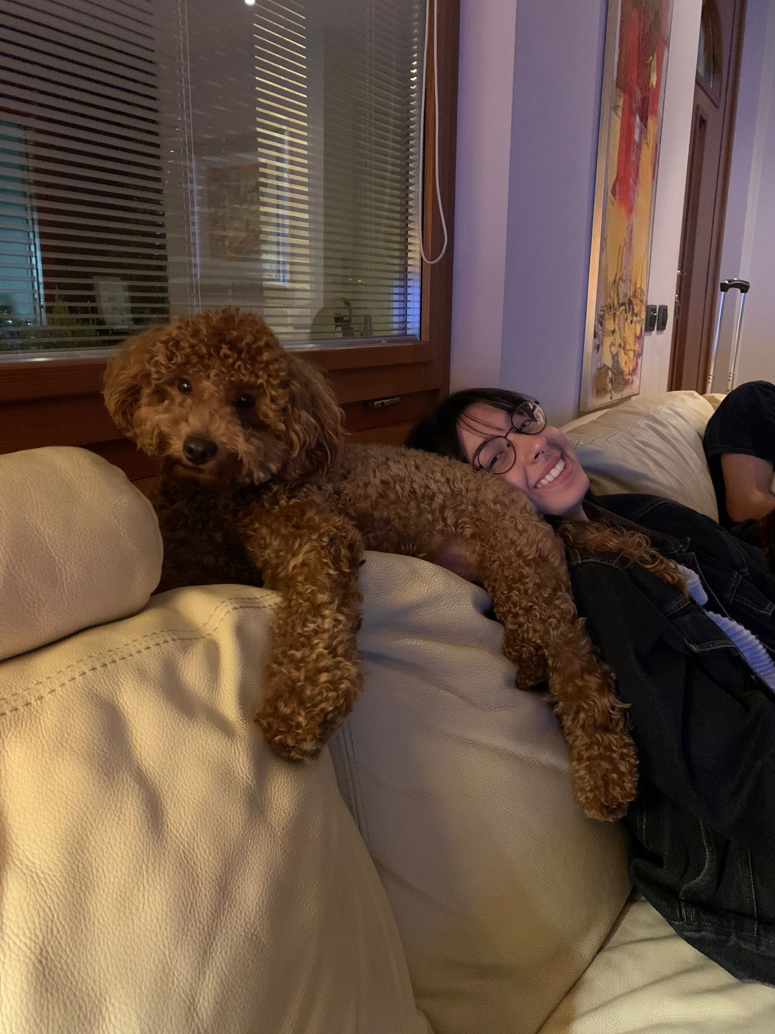 image-4