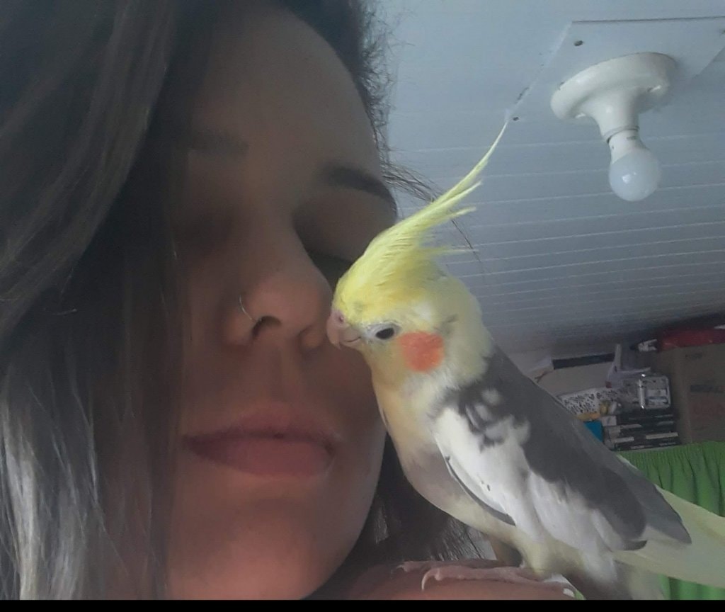image-8