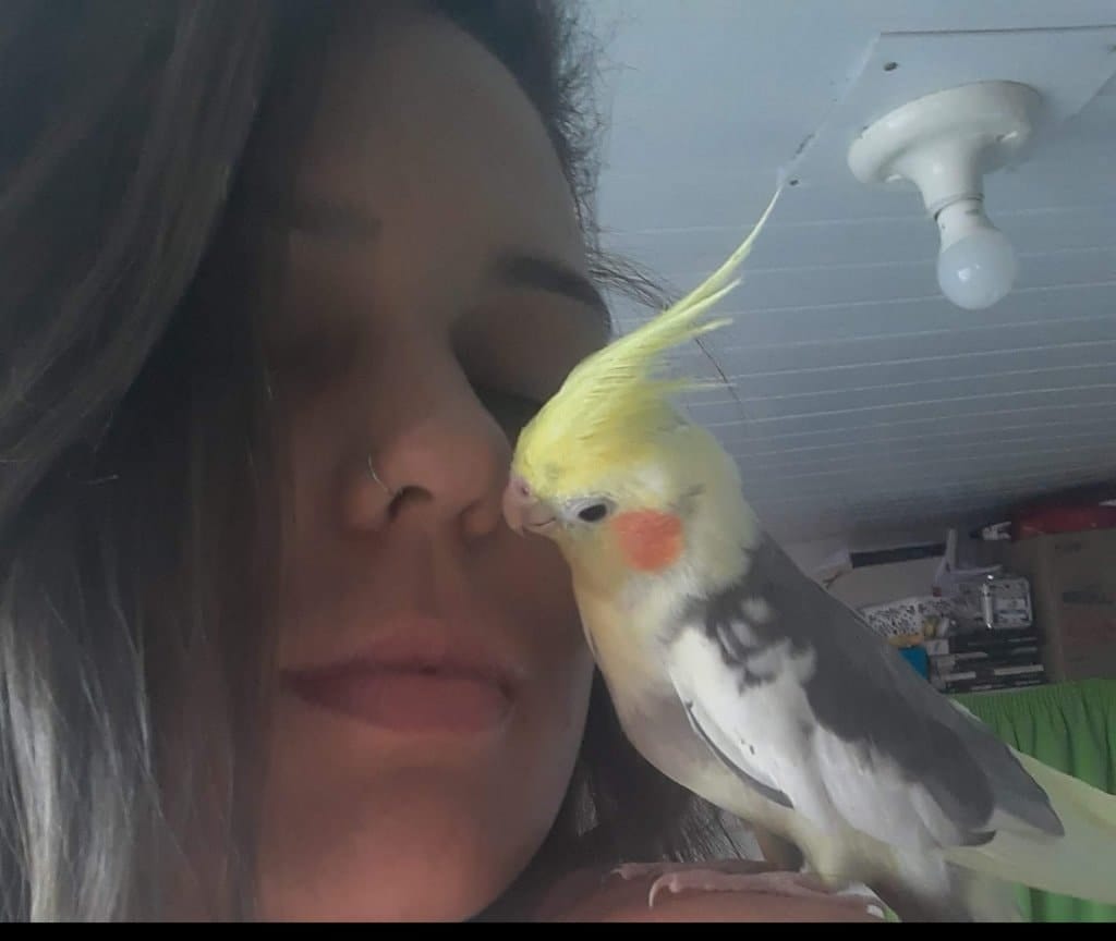image-8