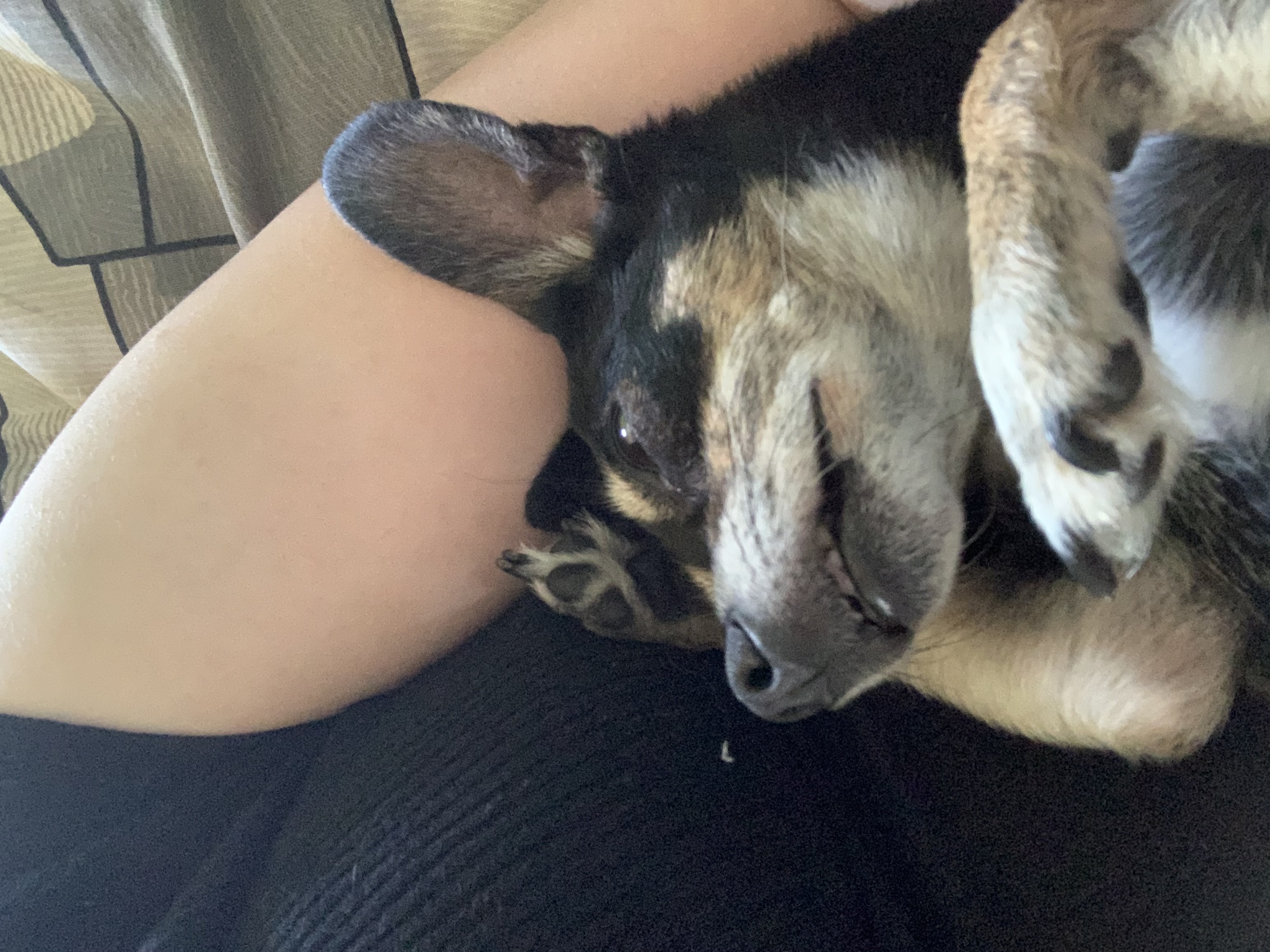 image-7