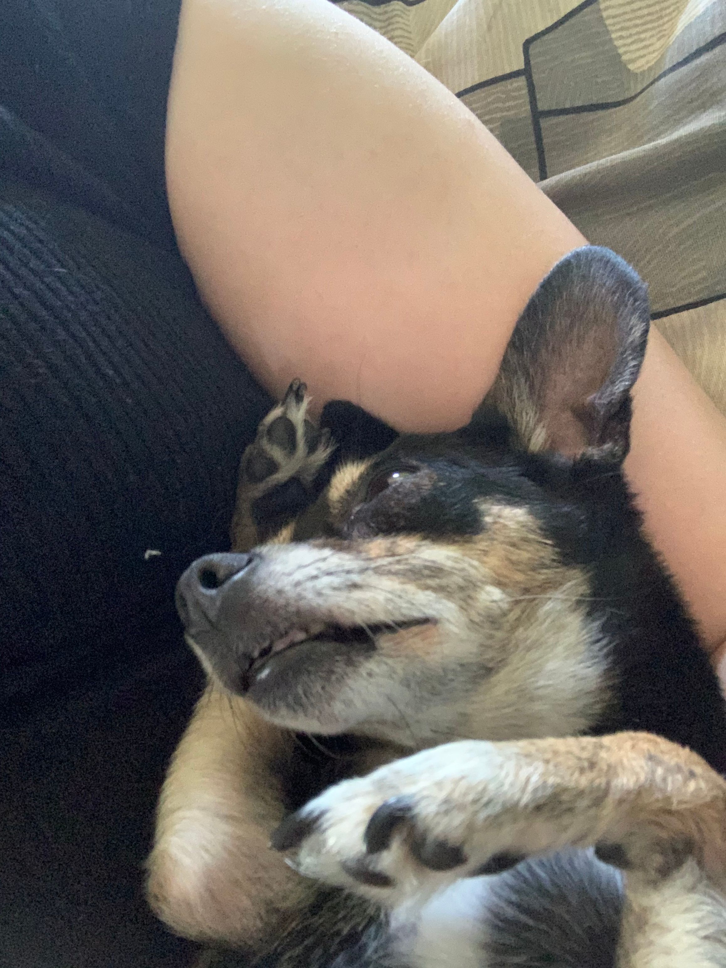 image-7