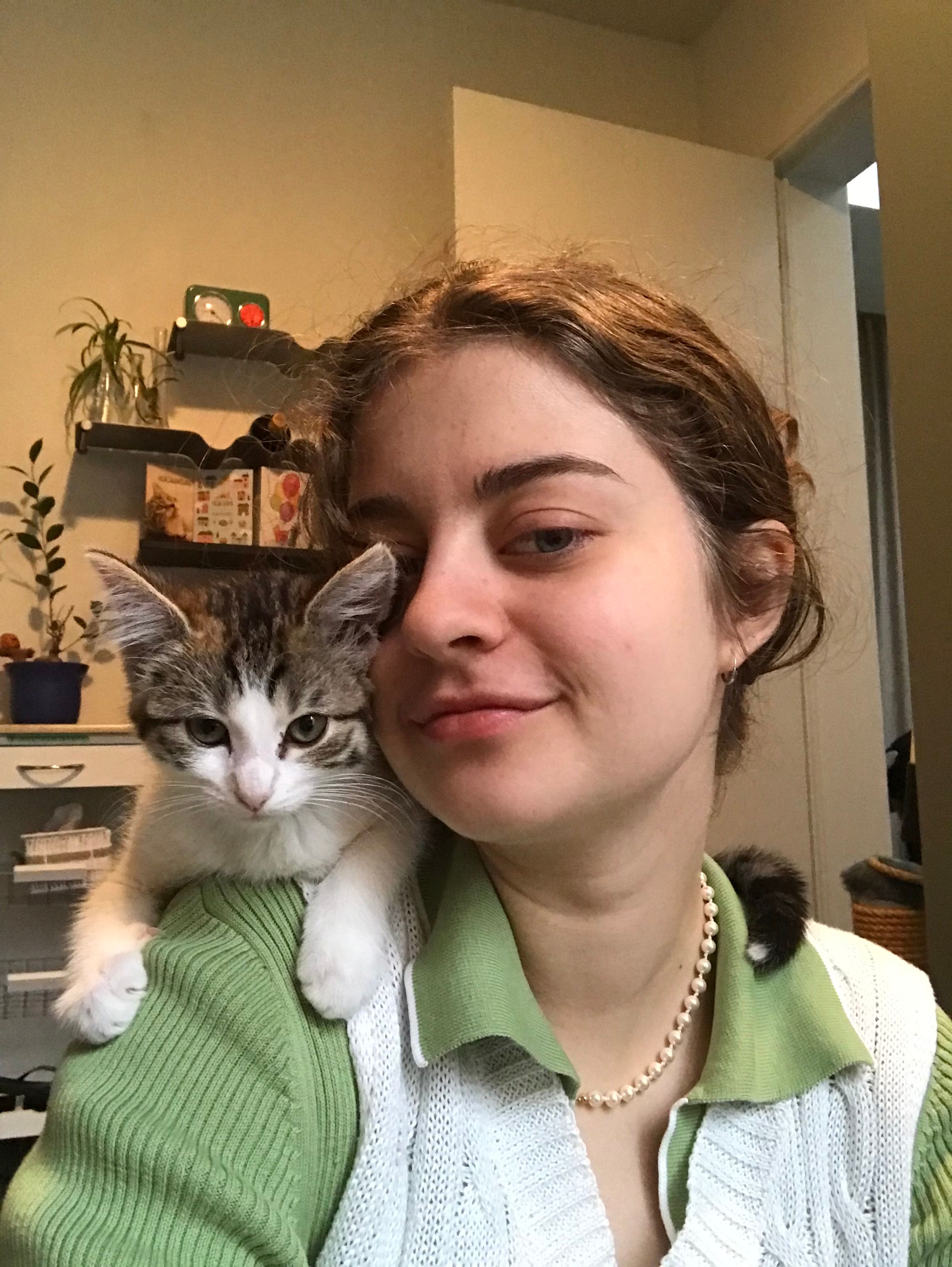 image-5