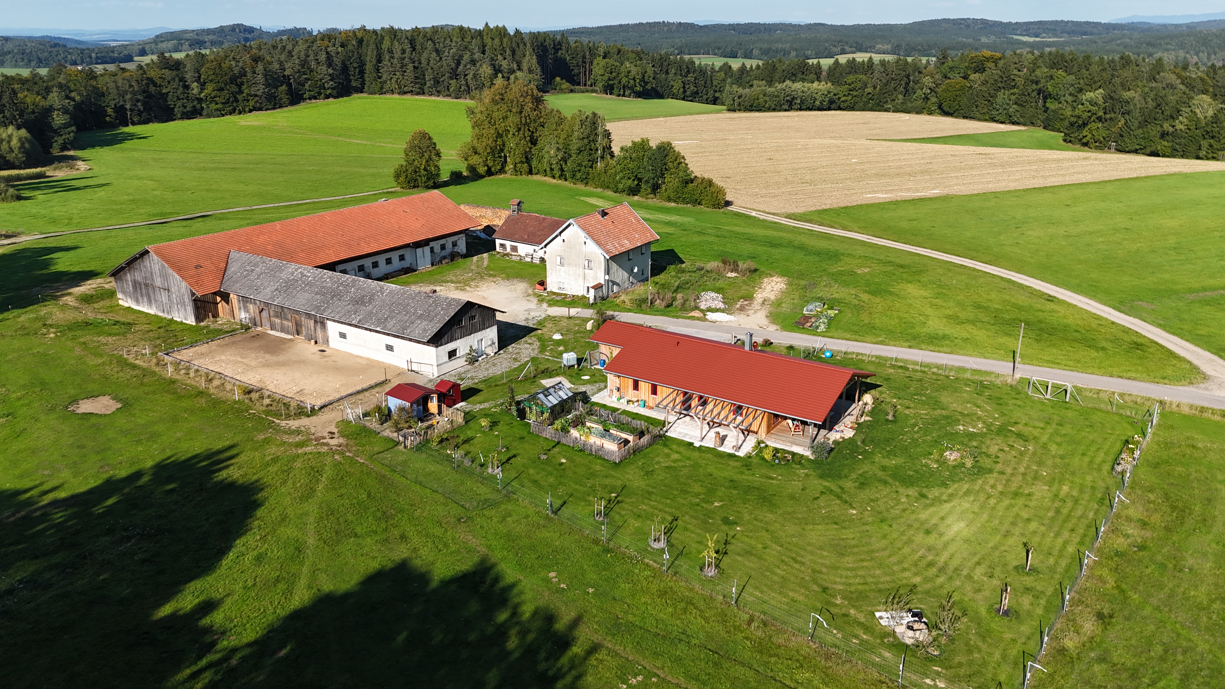 image-9