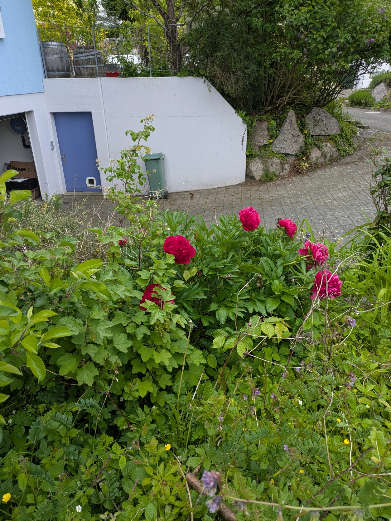 image-8