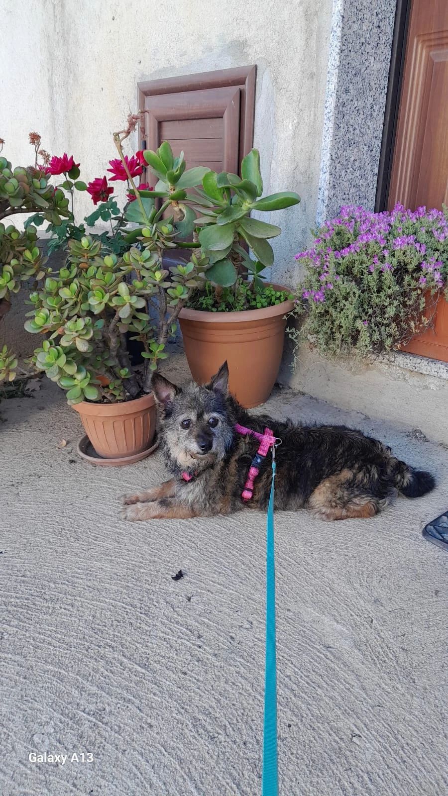 image-11