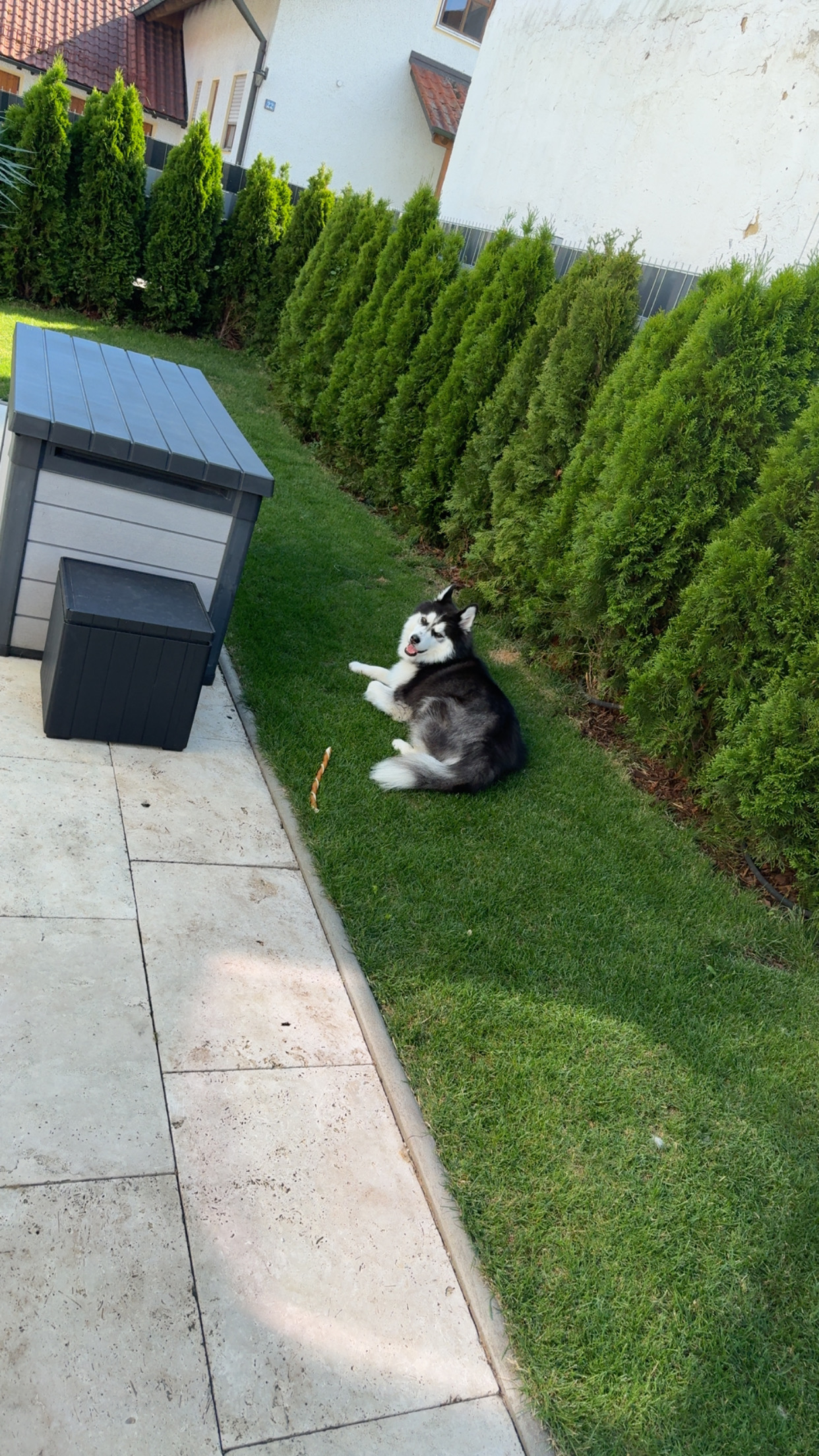 image-5