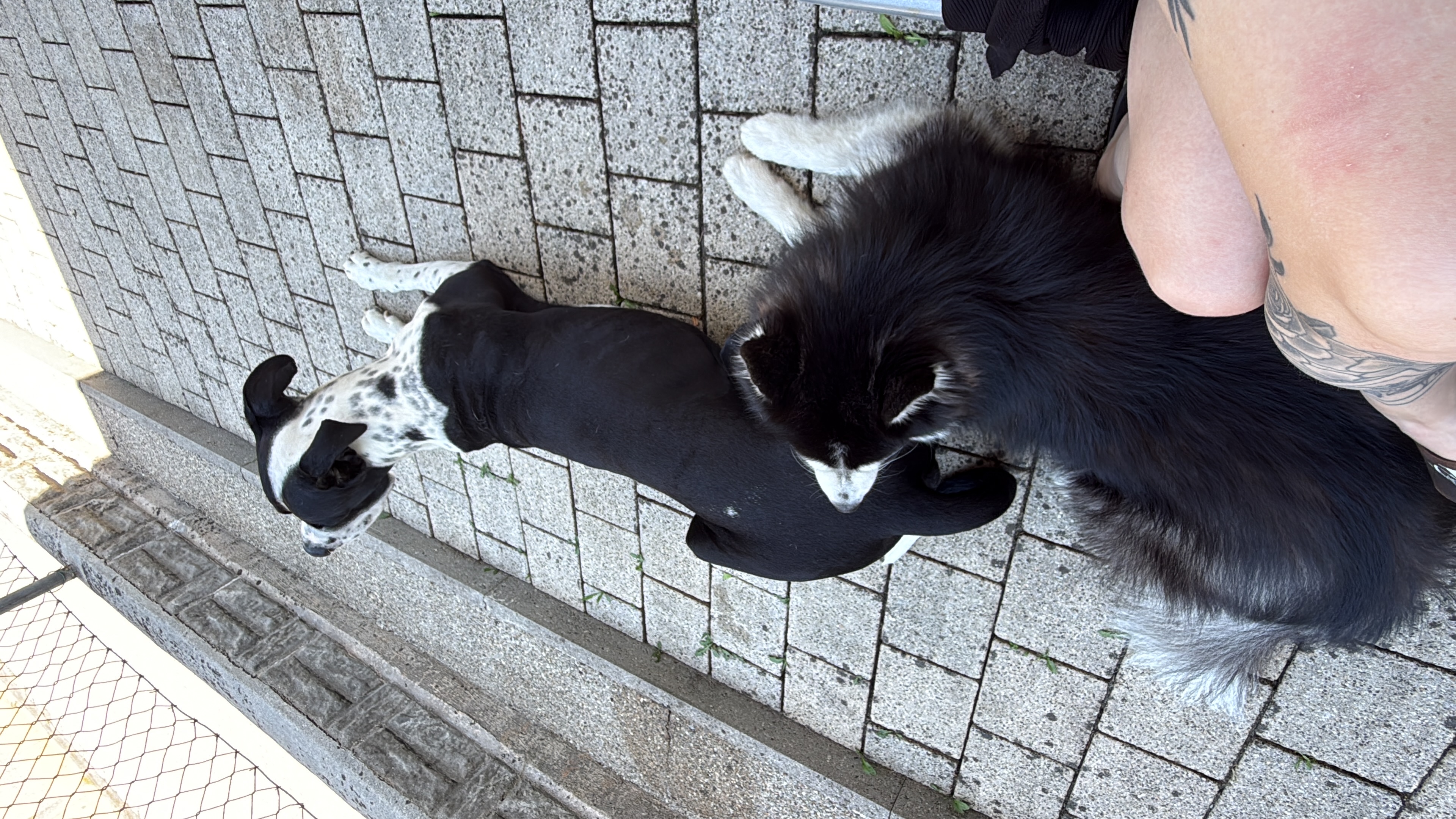 image-12