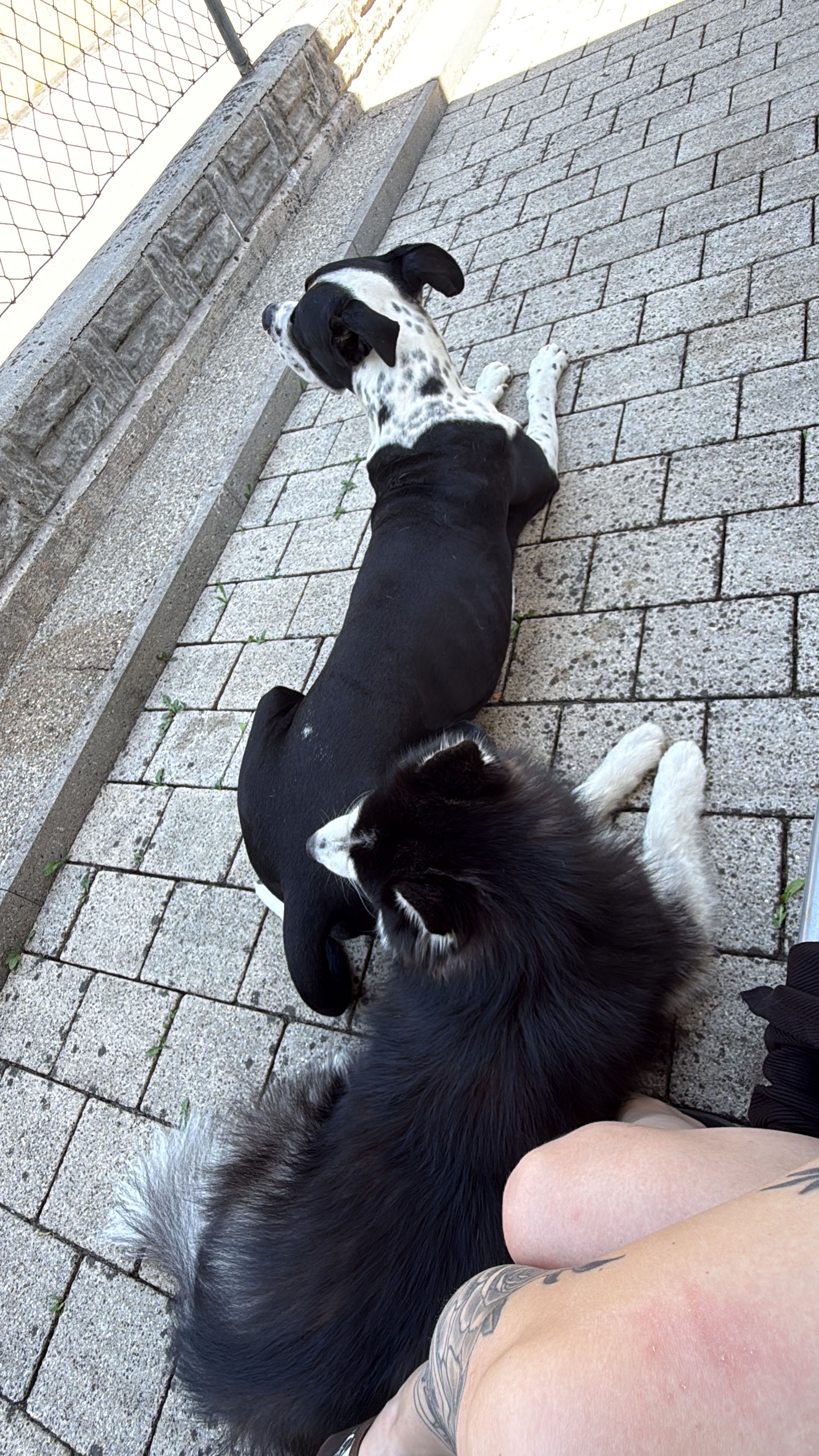 image-12