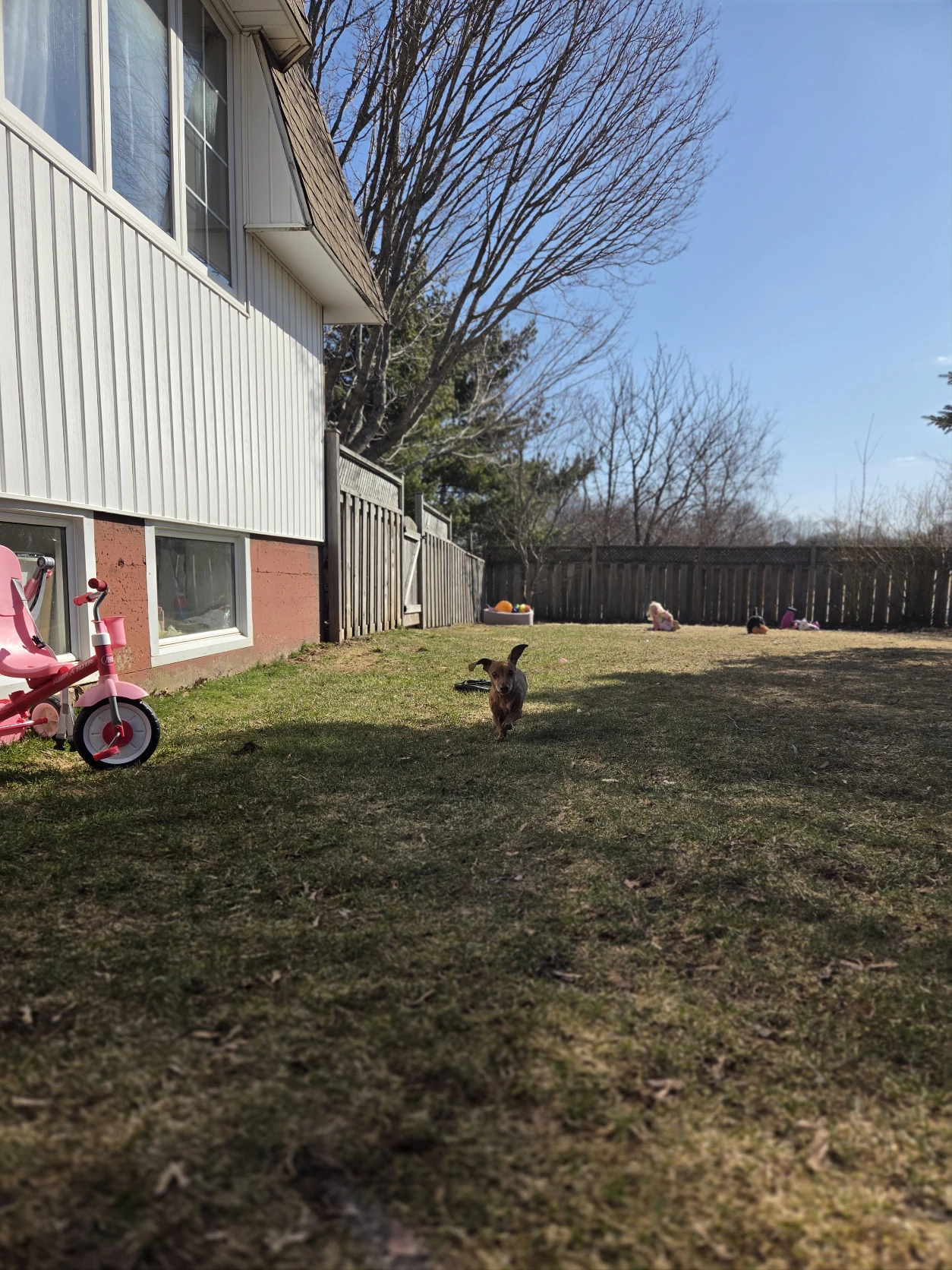 image-19