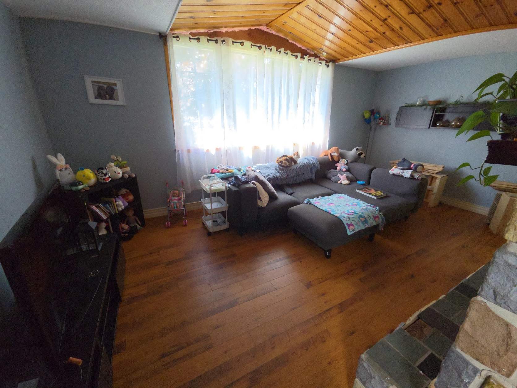 image-15