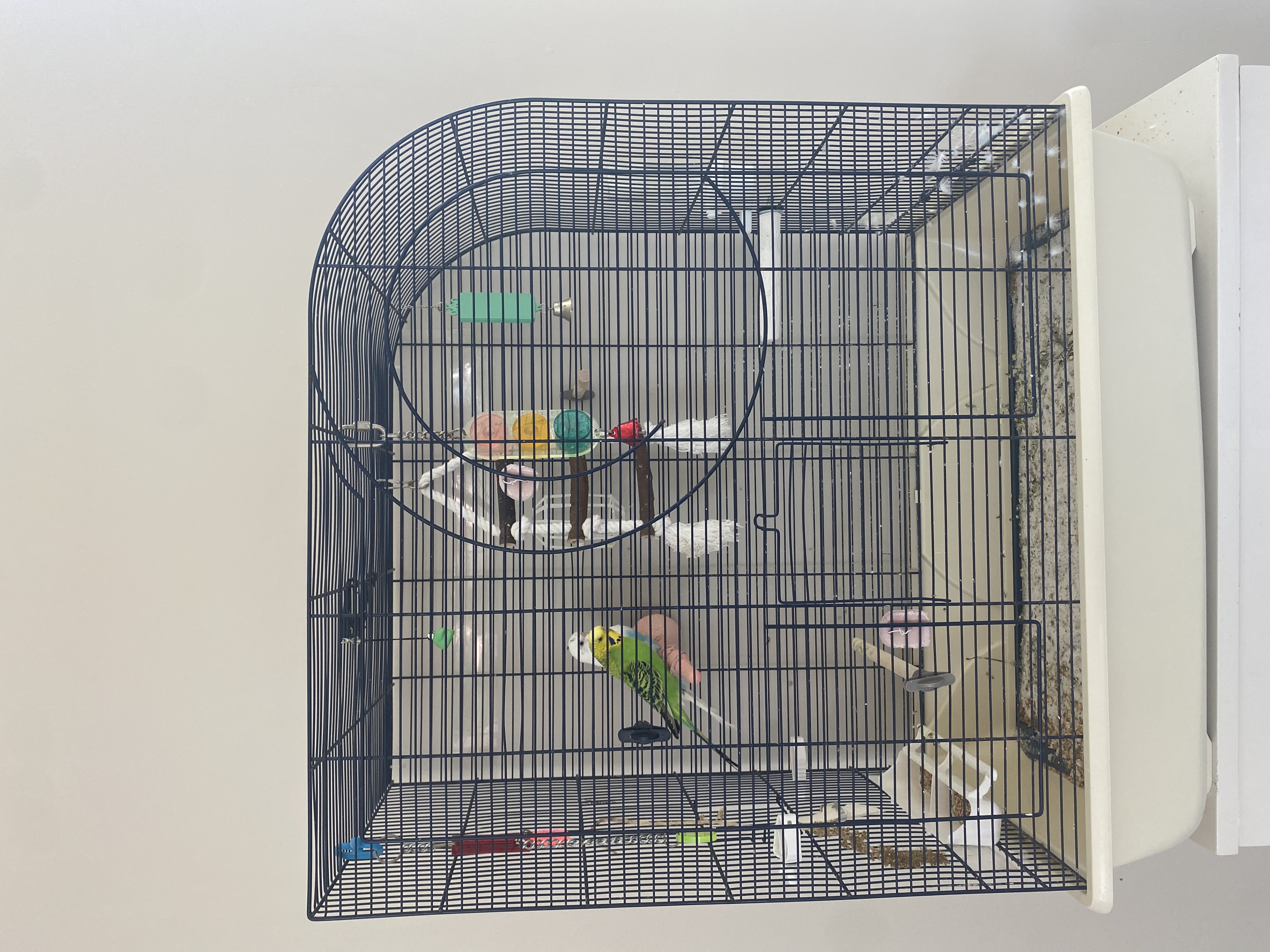 image-10
