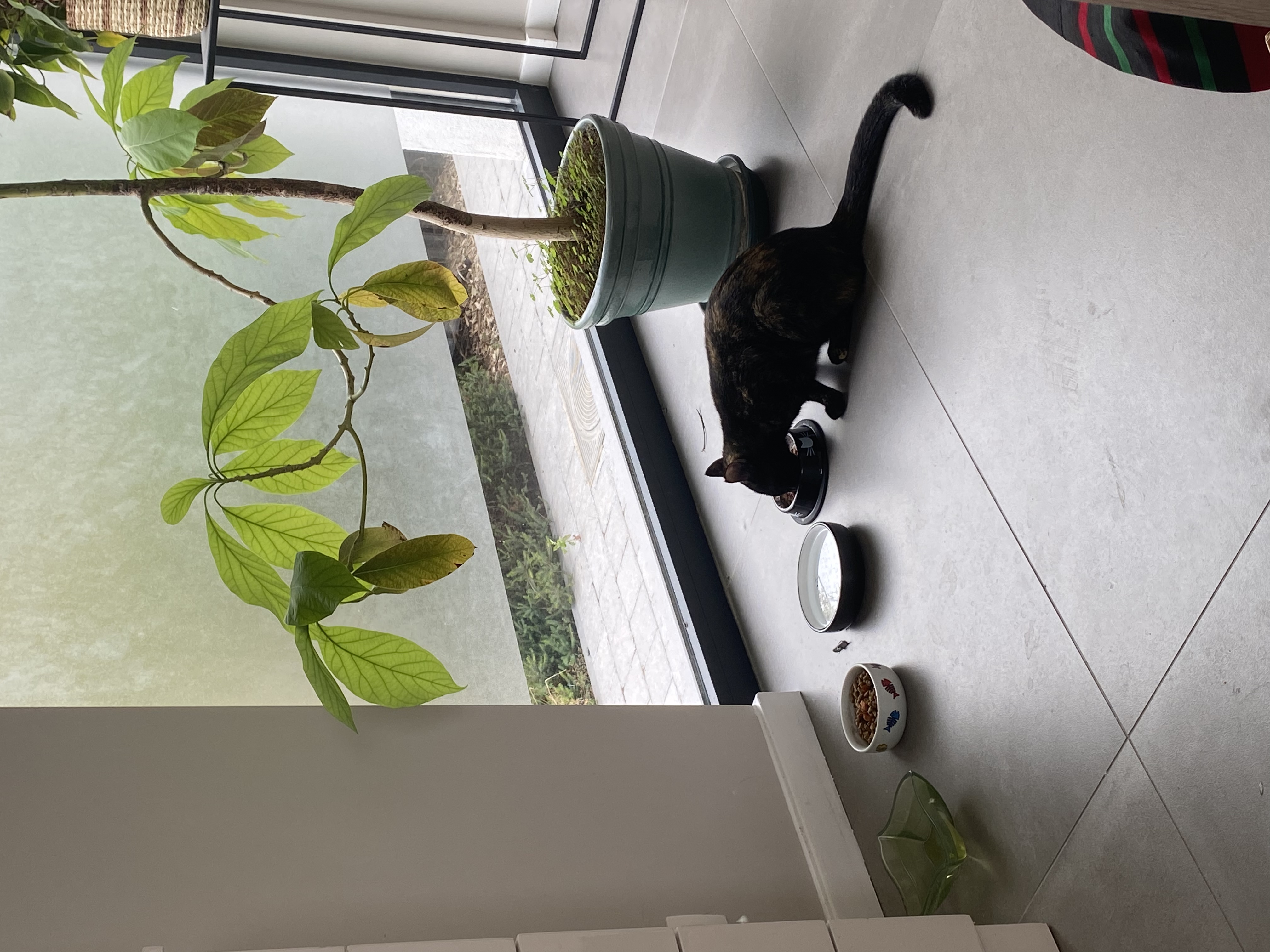 image-13