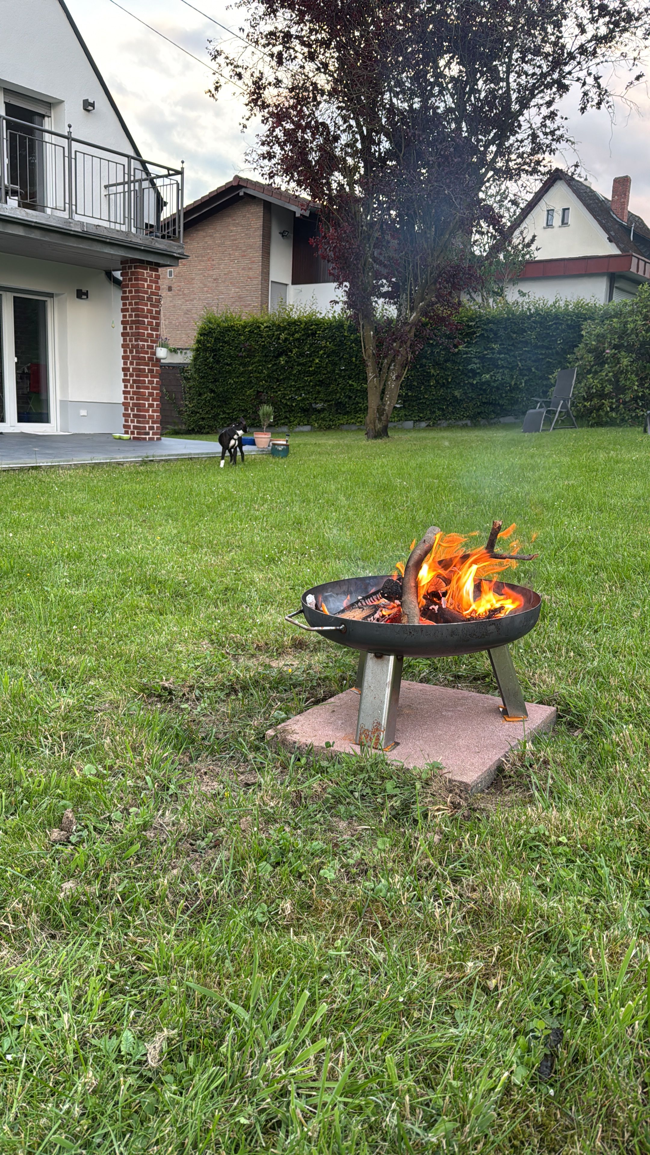 image-7