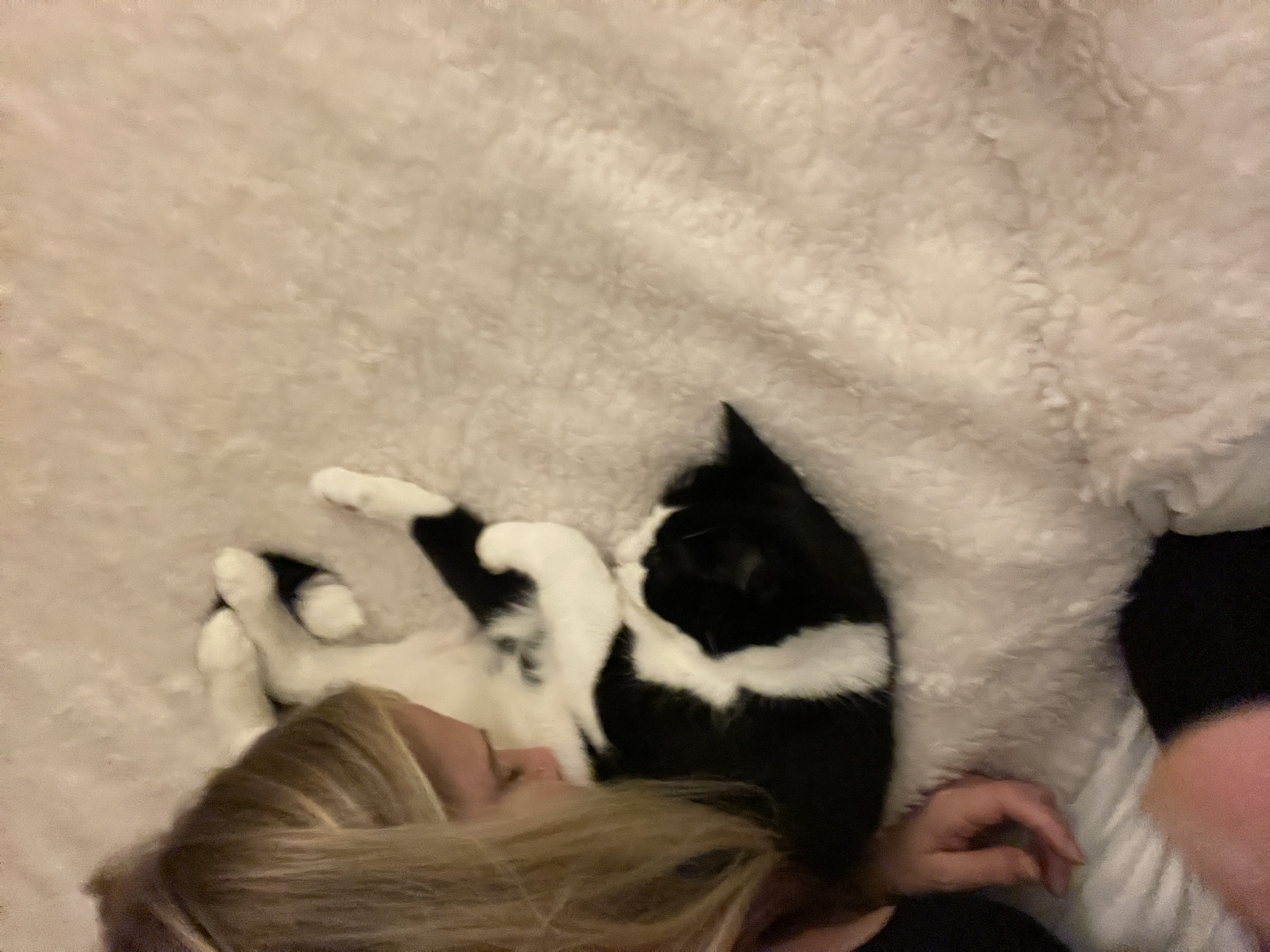 image-6