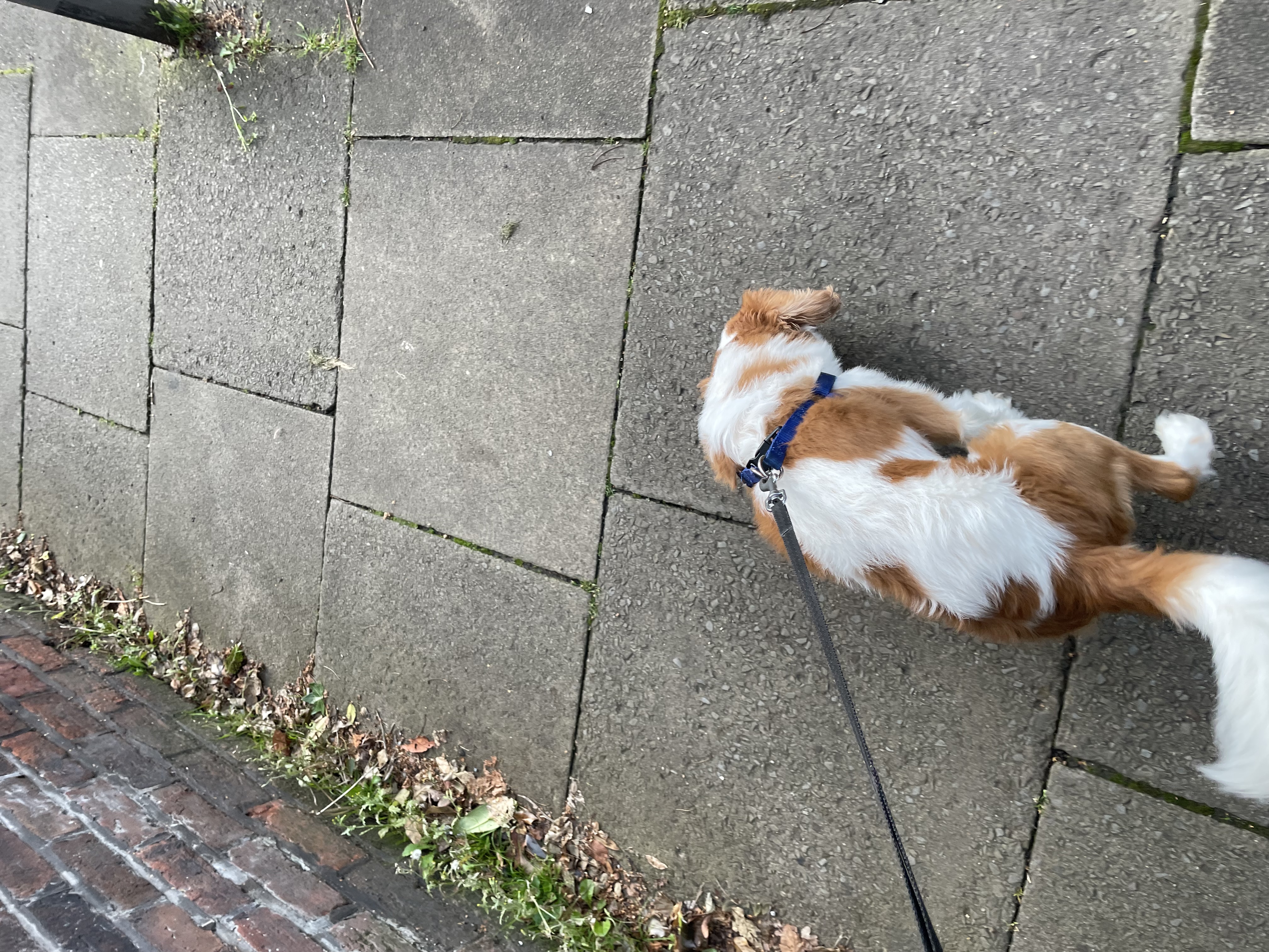 image-11