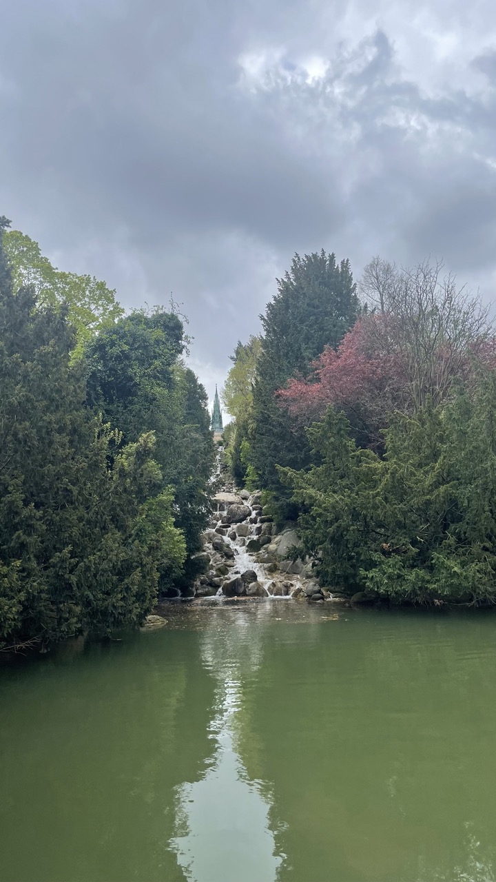 image-20