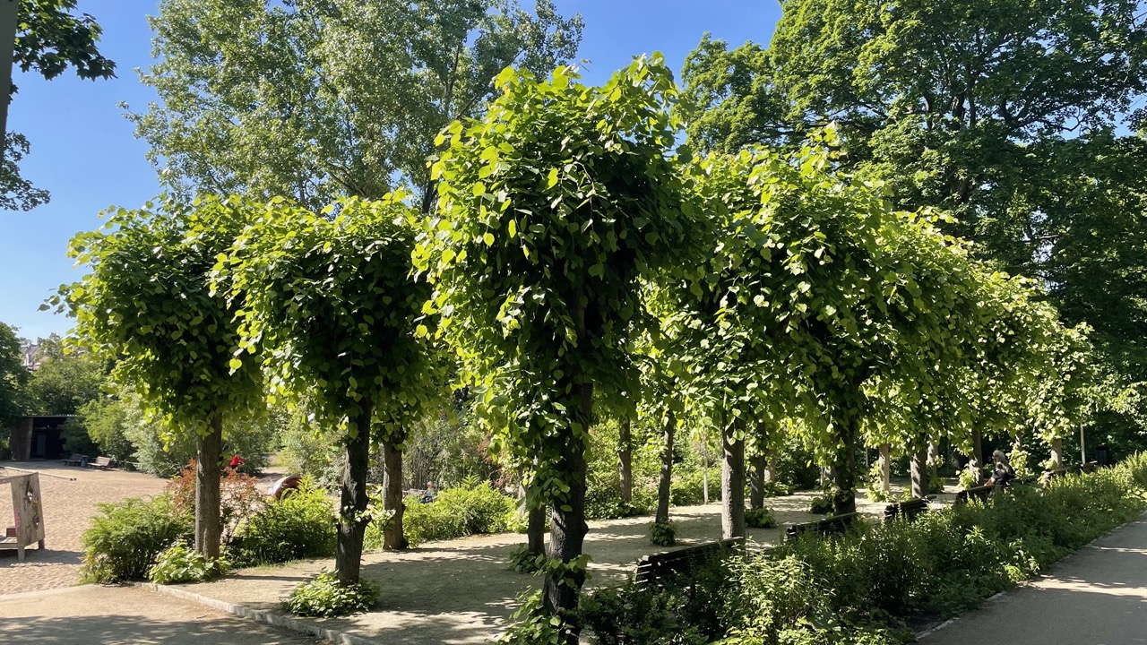 image-17