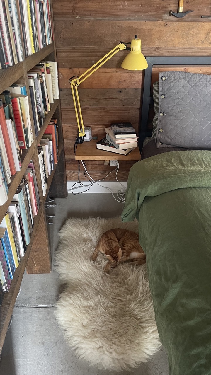 image-8