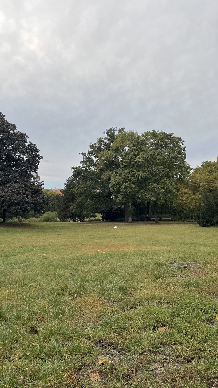 image-18