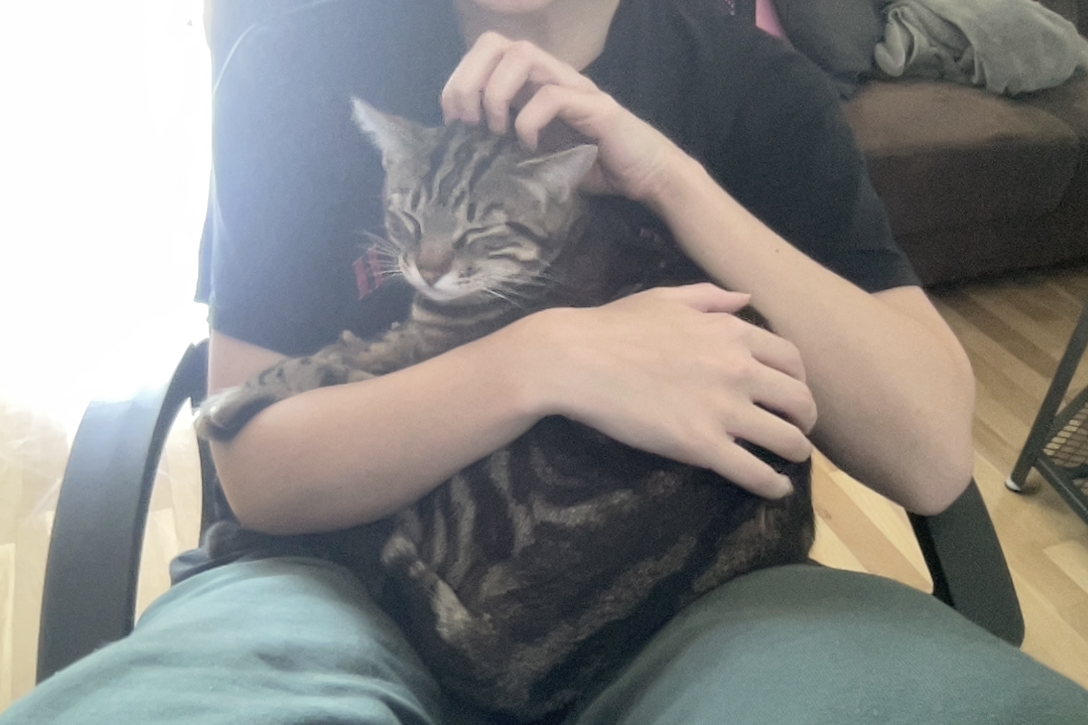 image-7