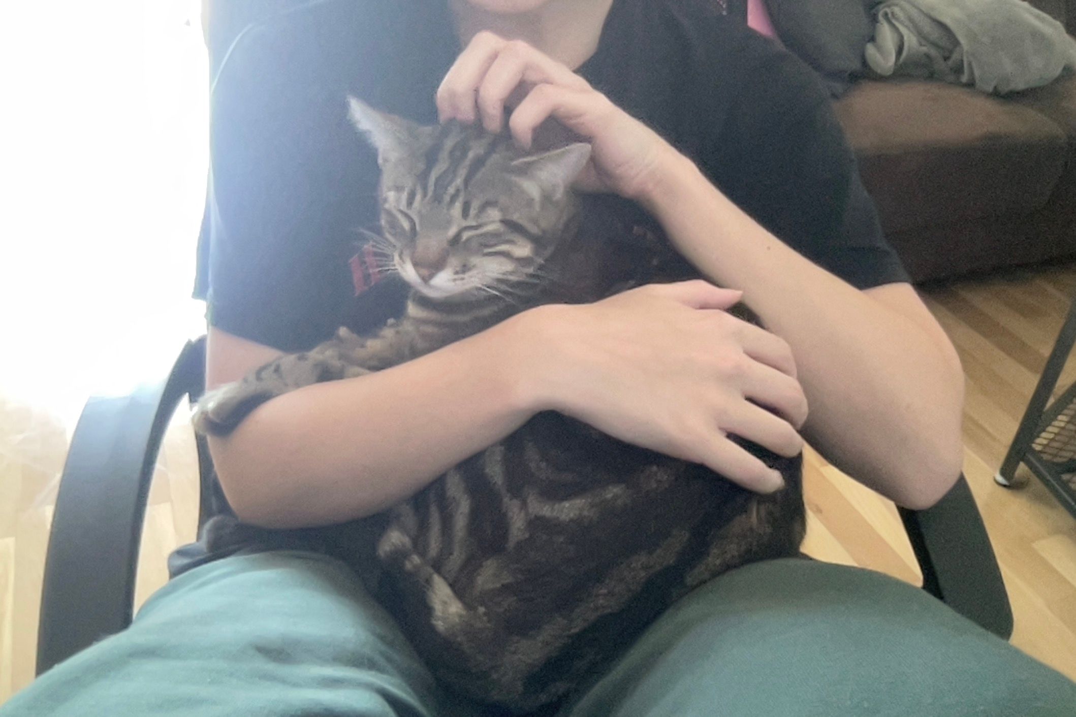 image-7