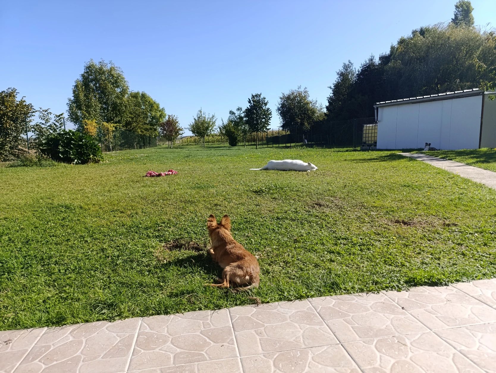 image-10