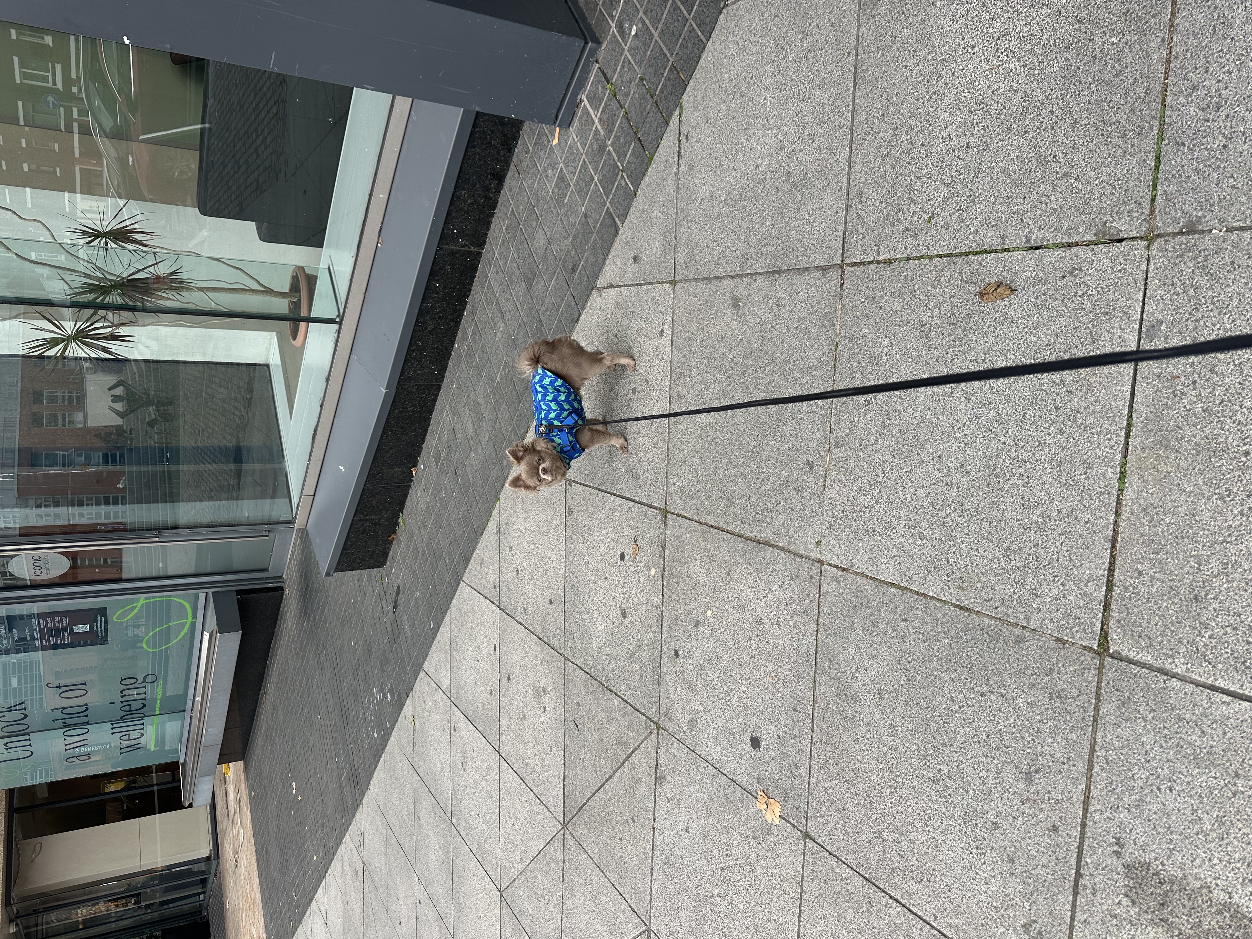 image-18