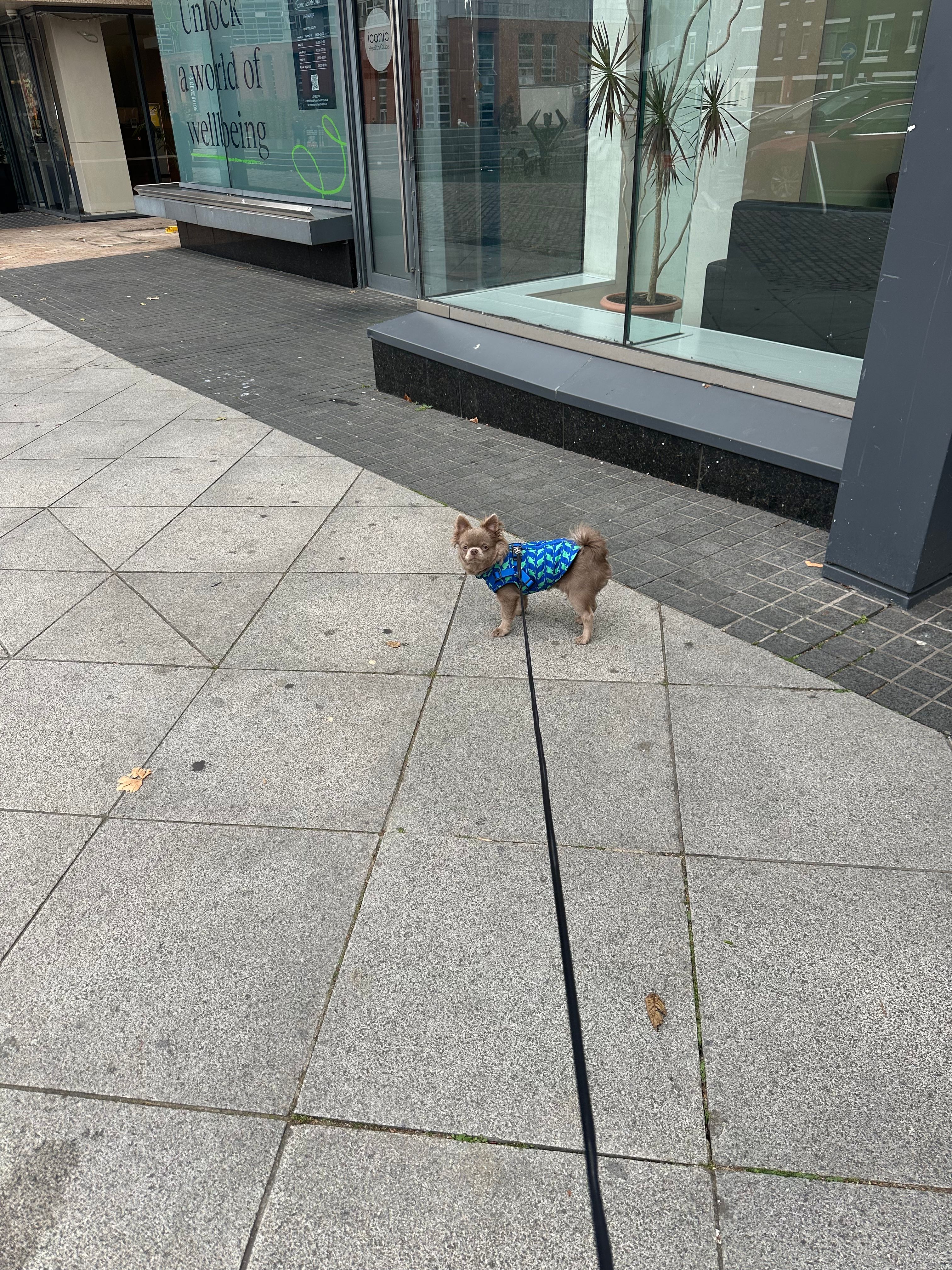 image-18