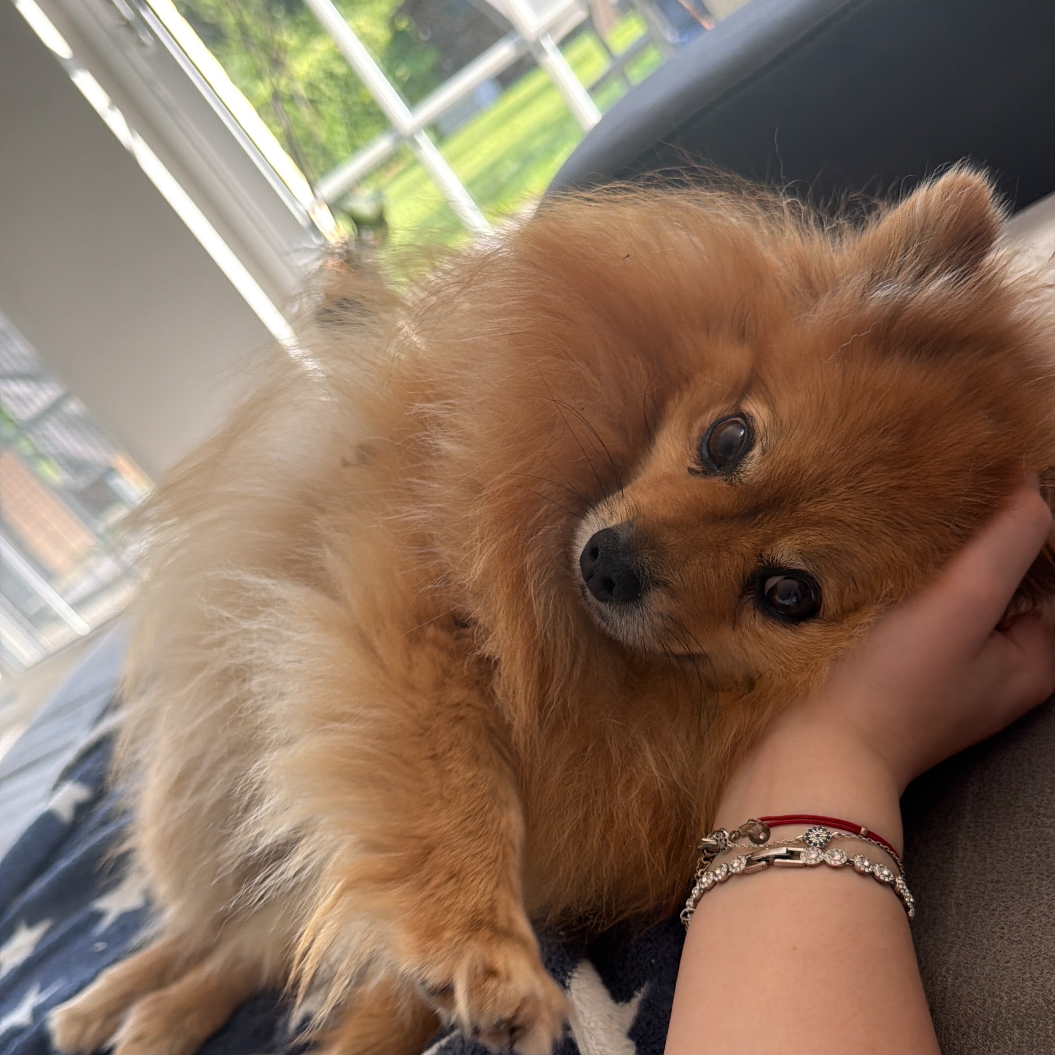 Milo