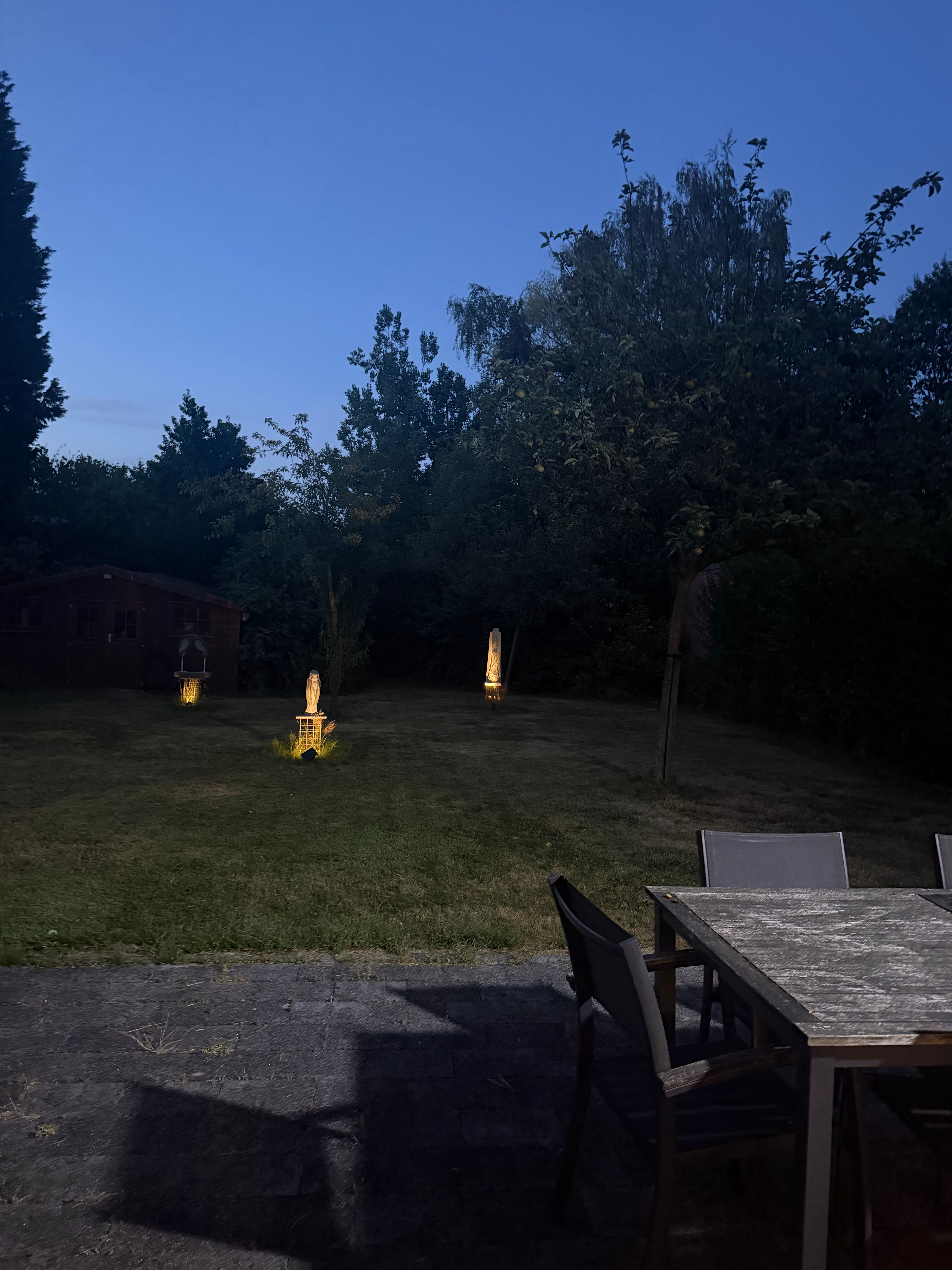 image-10