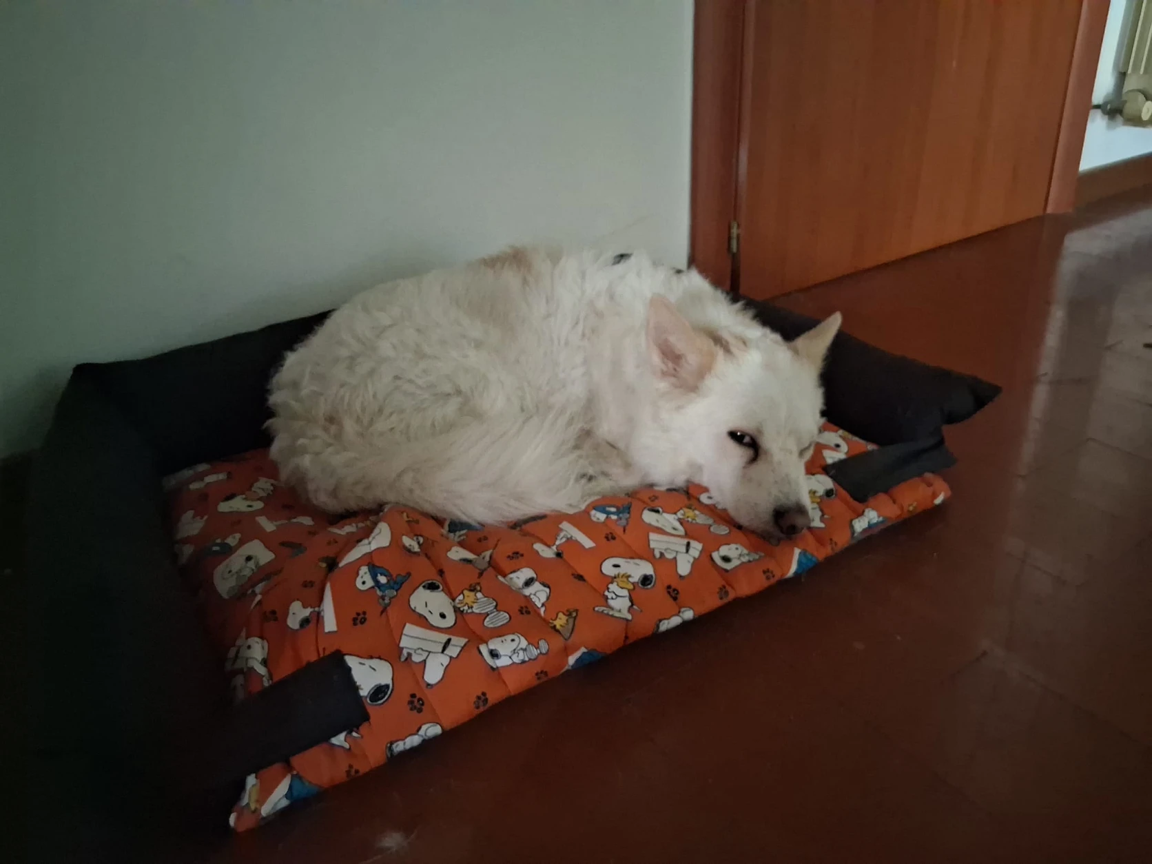 image-16