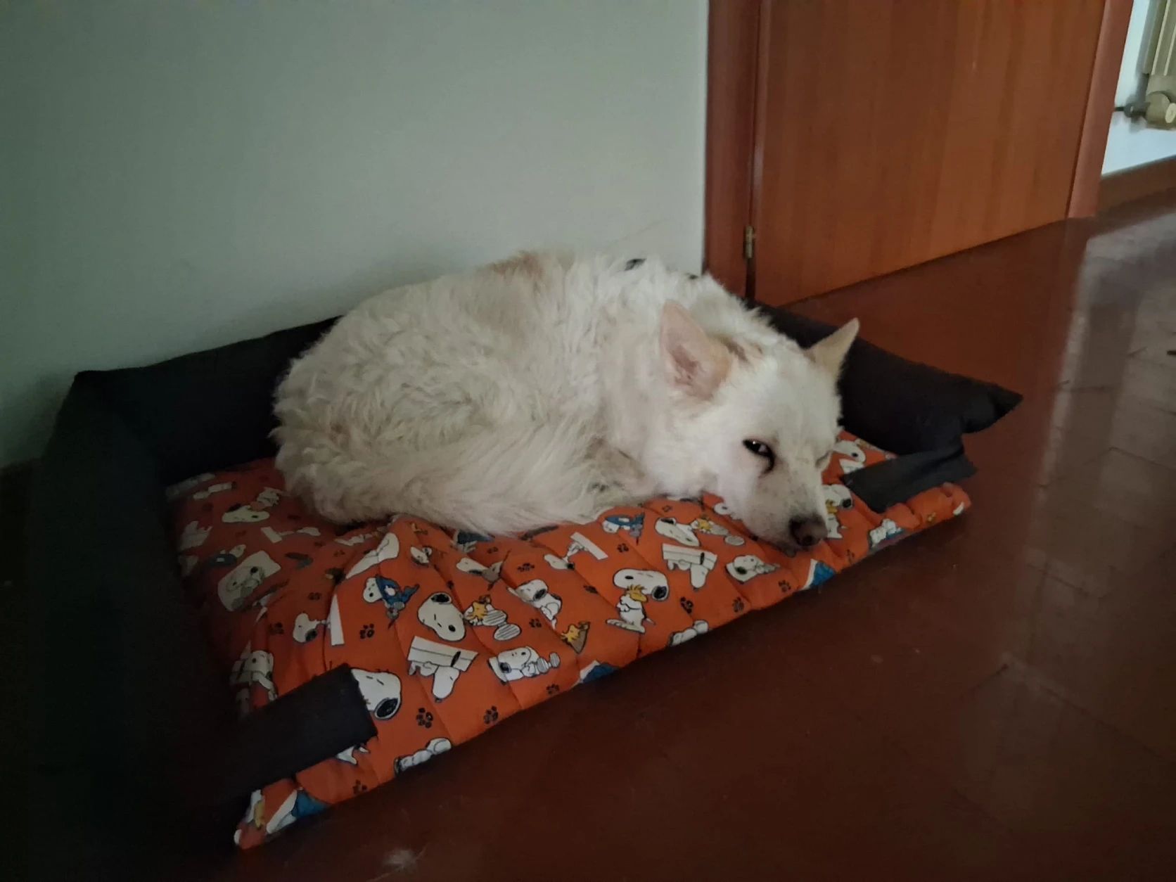 image-16
