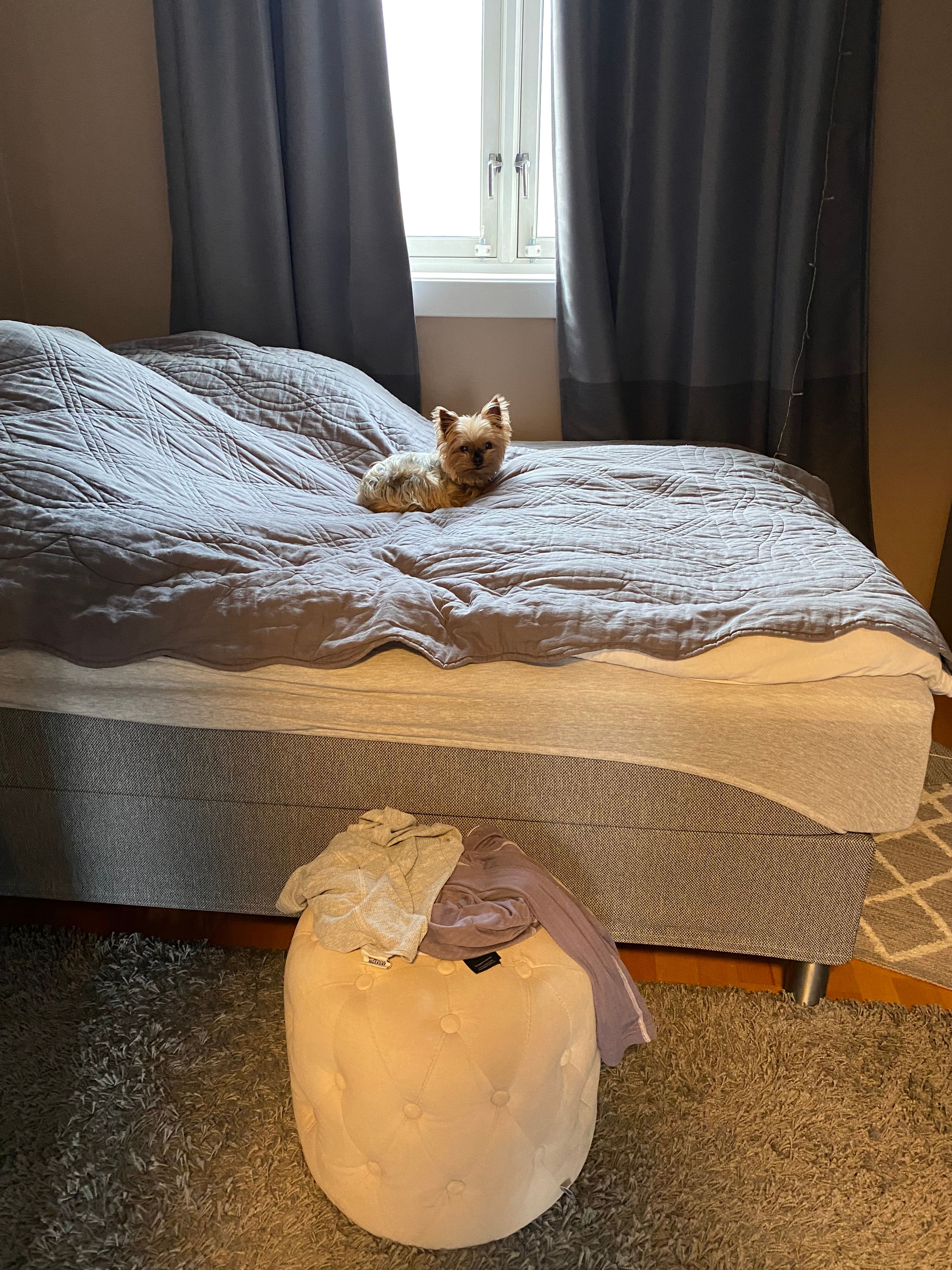 image-10