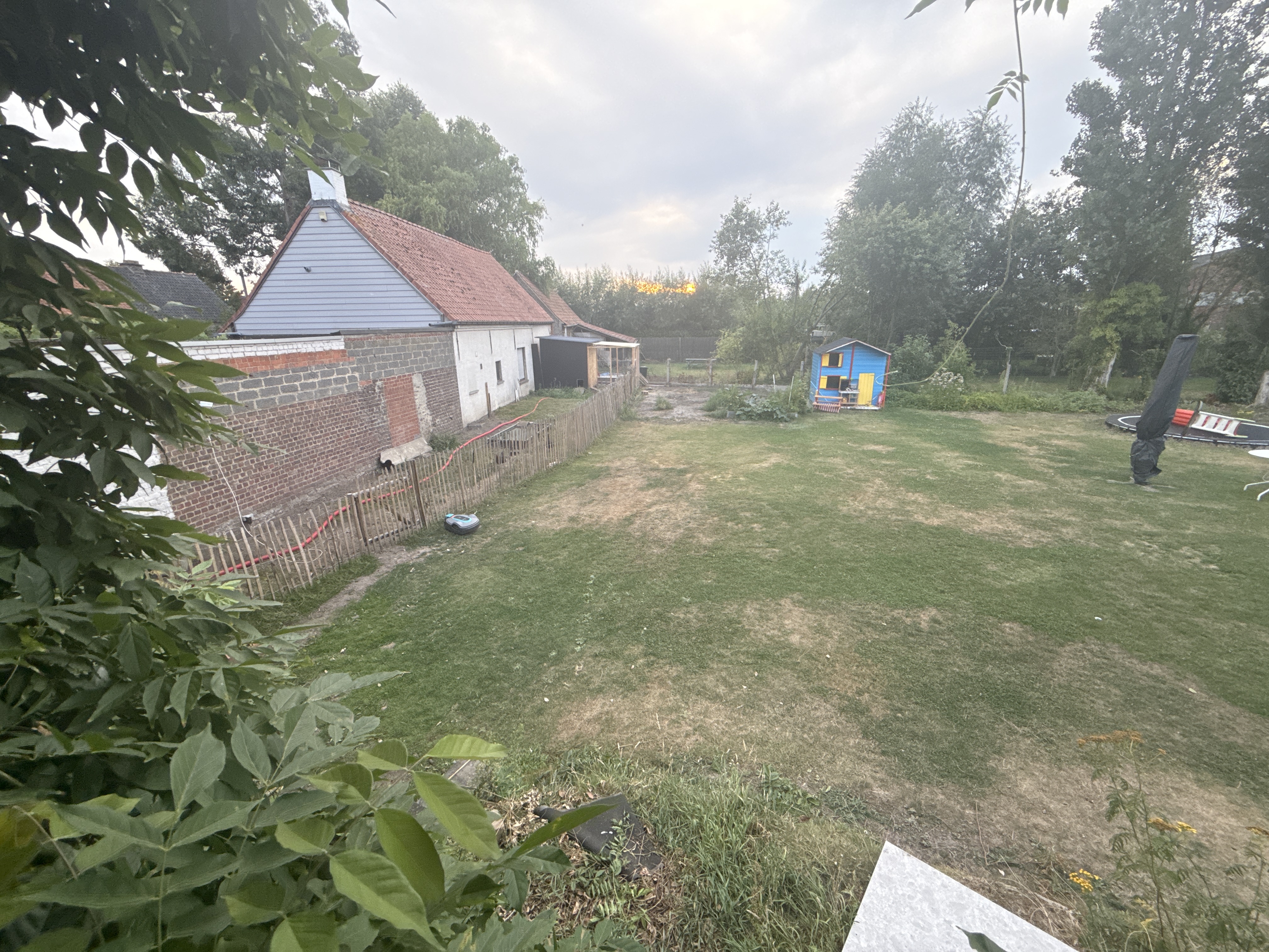 image-16