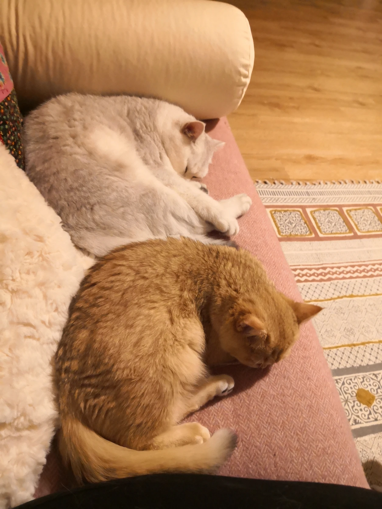 image-26
