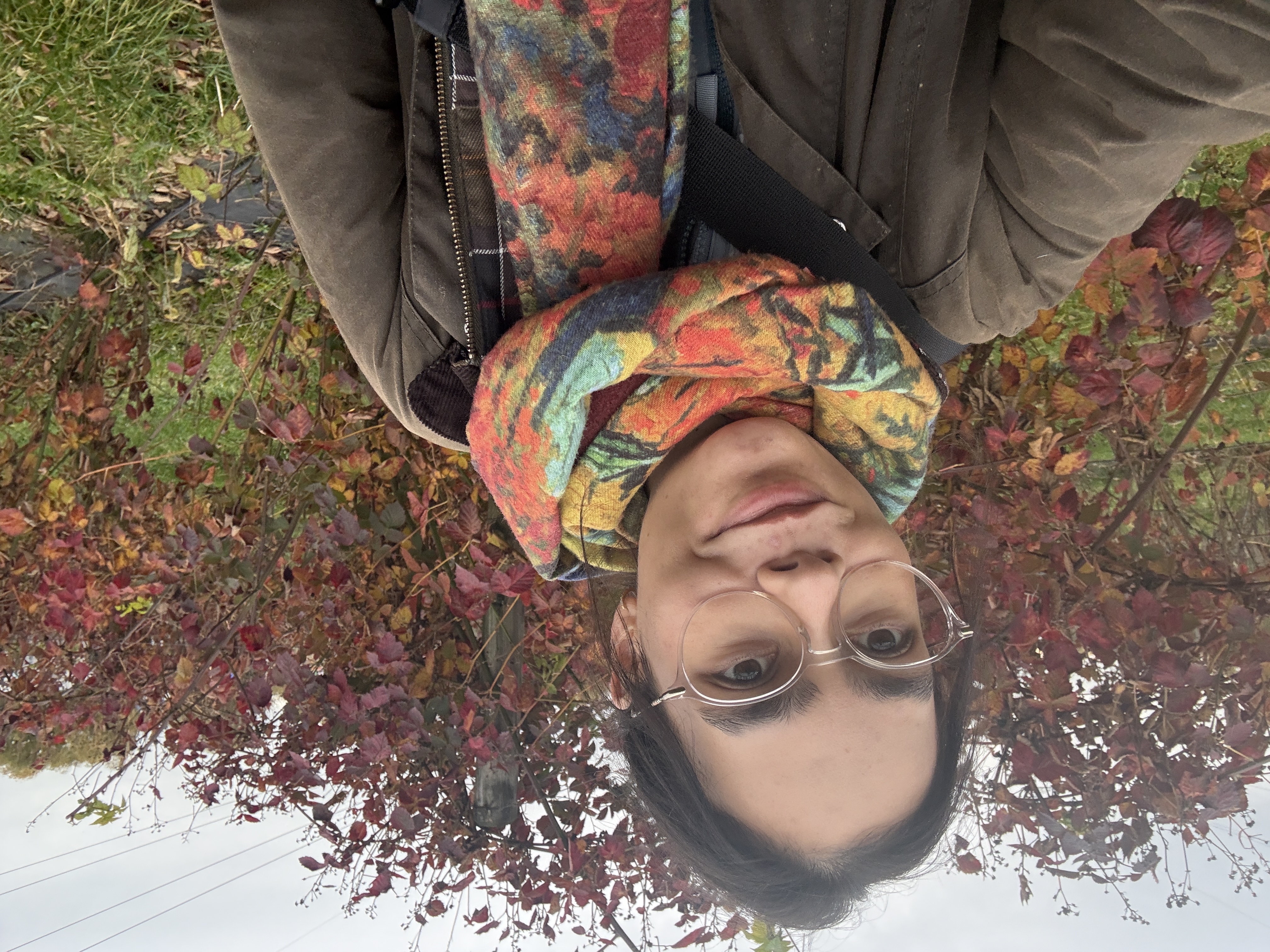 image-8