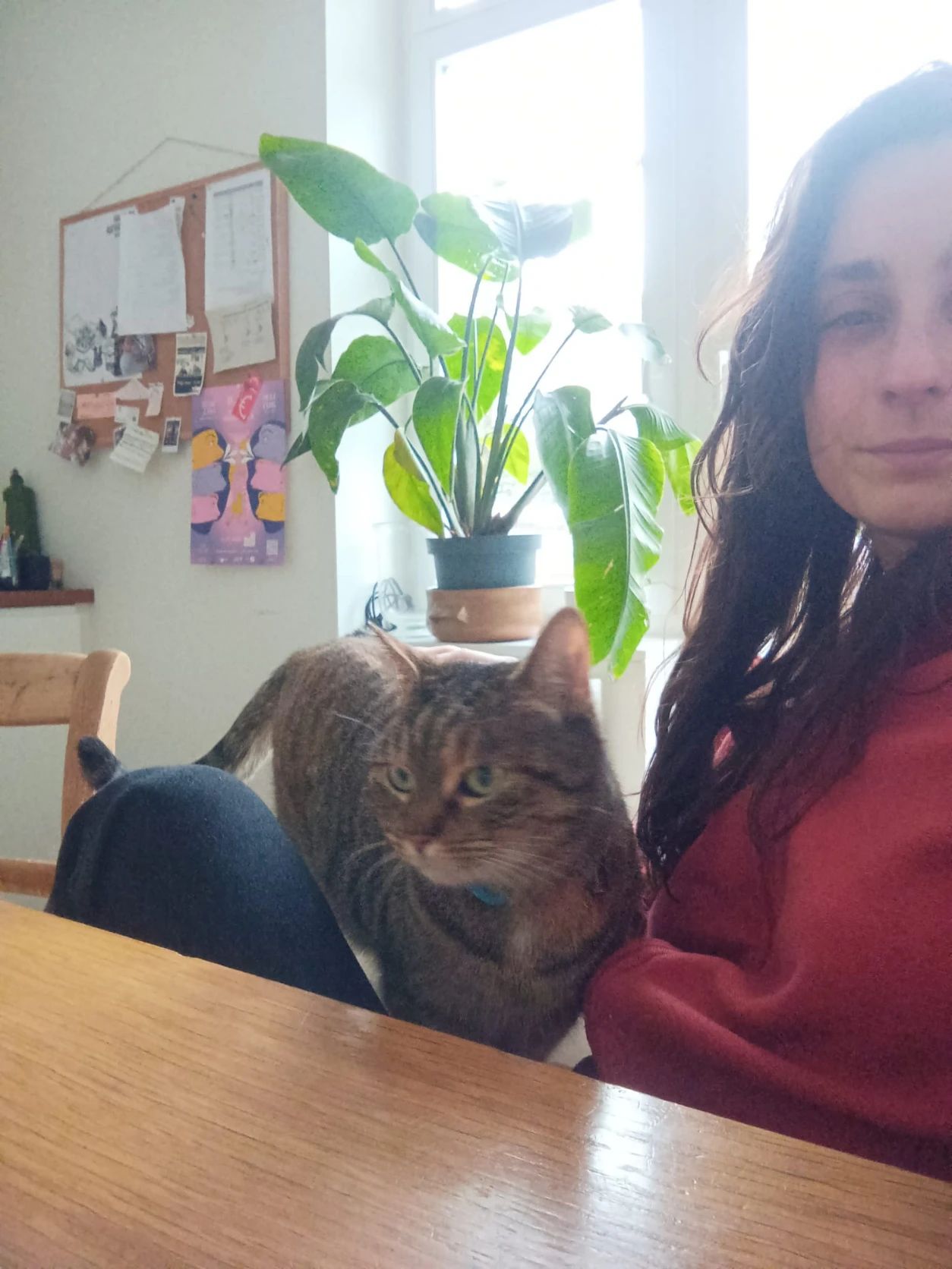 image-7