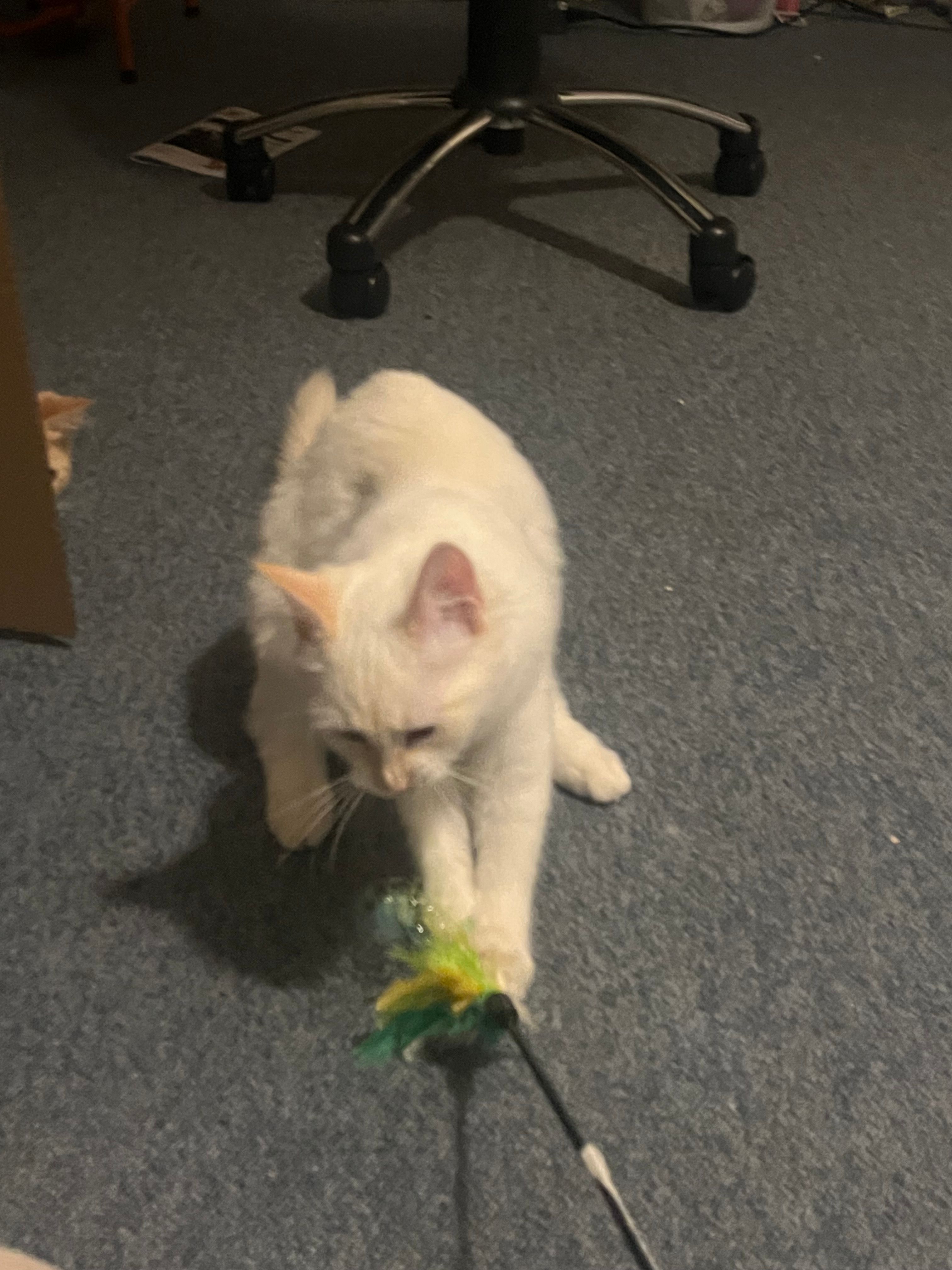 image-12