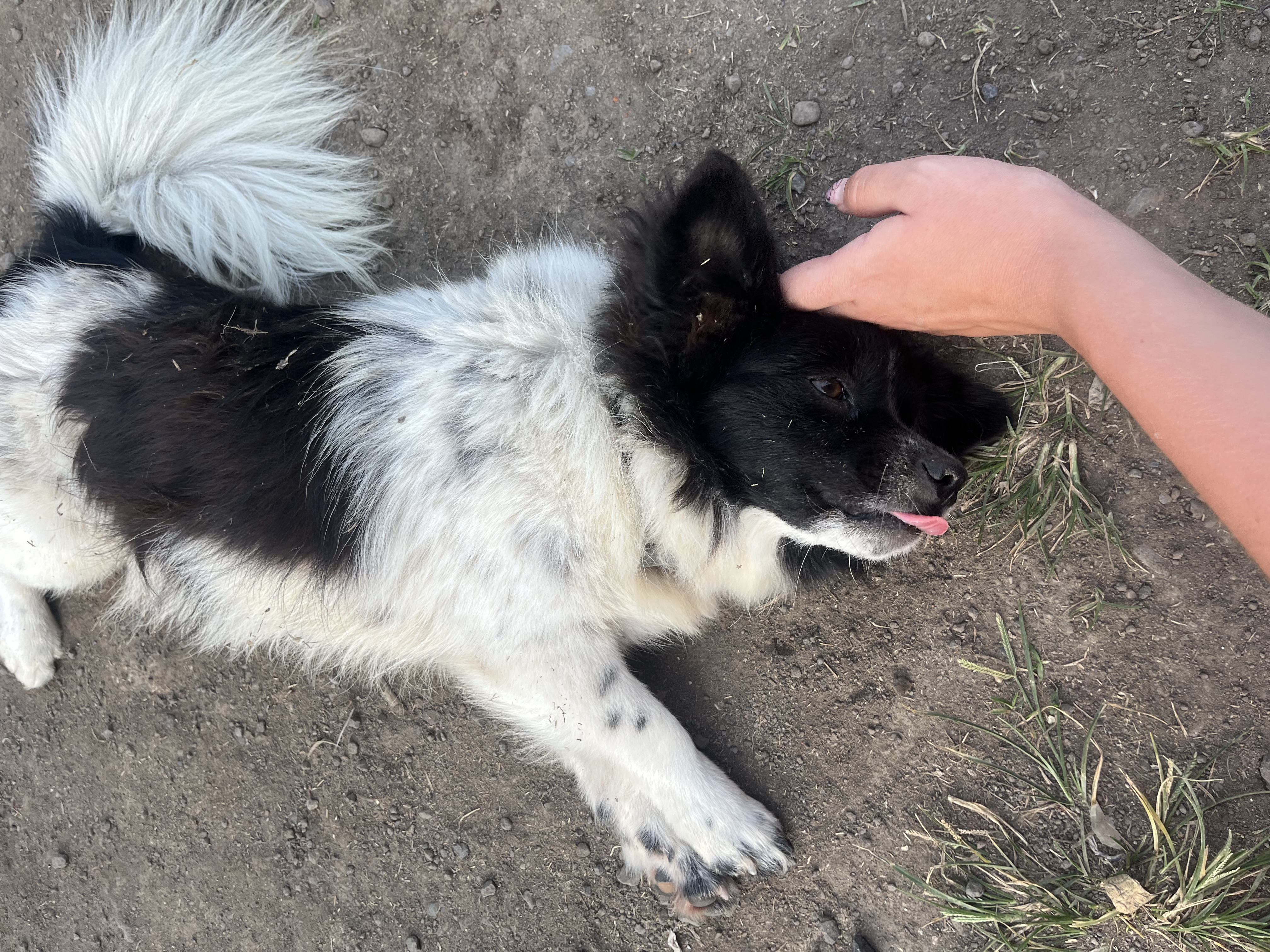 image-10