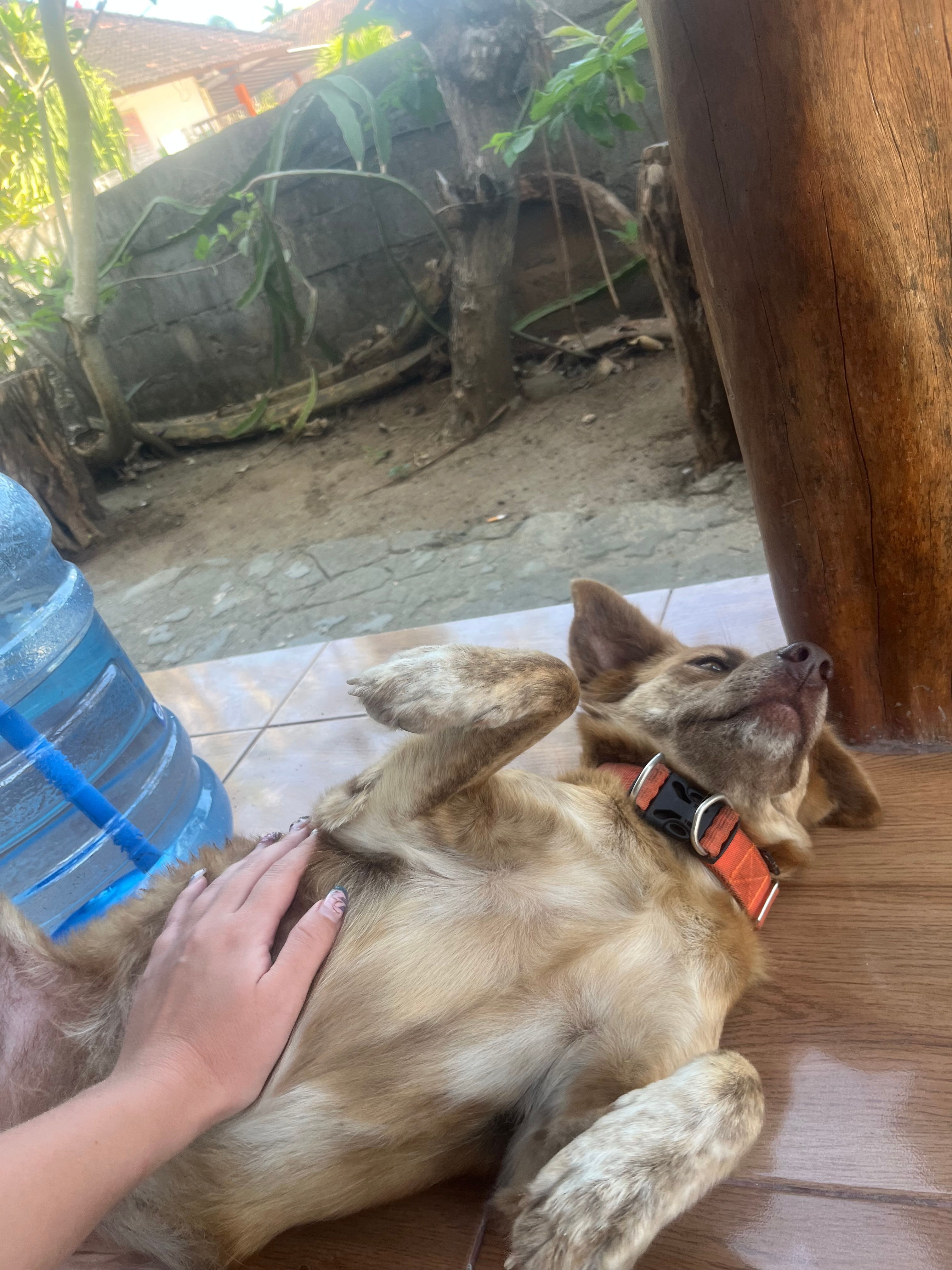 image-6