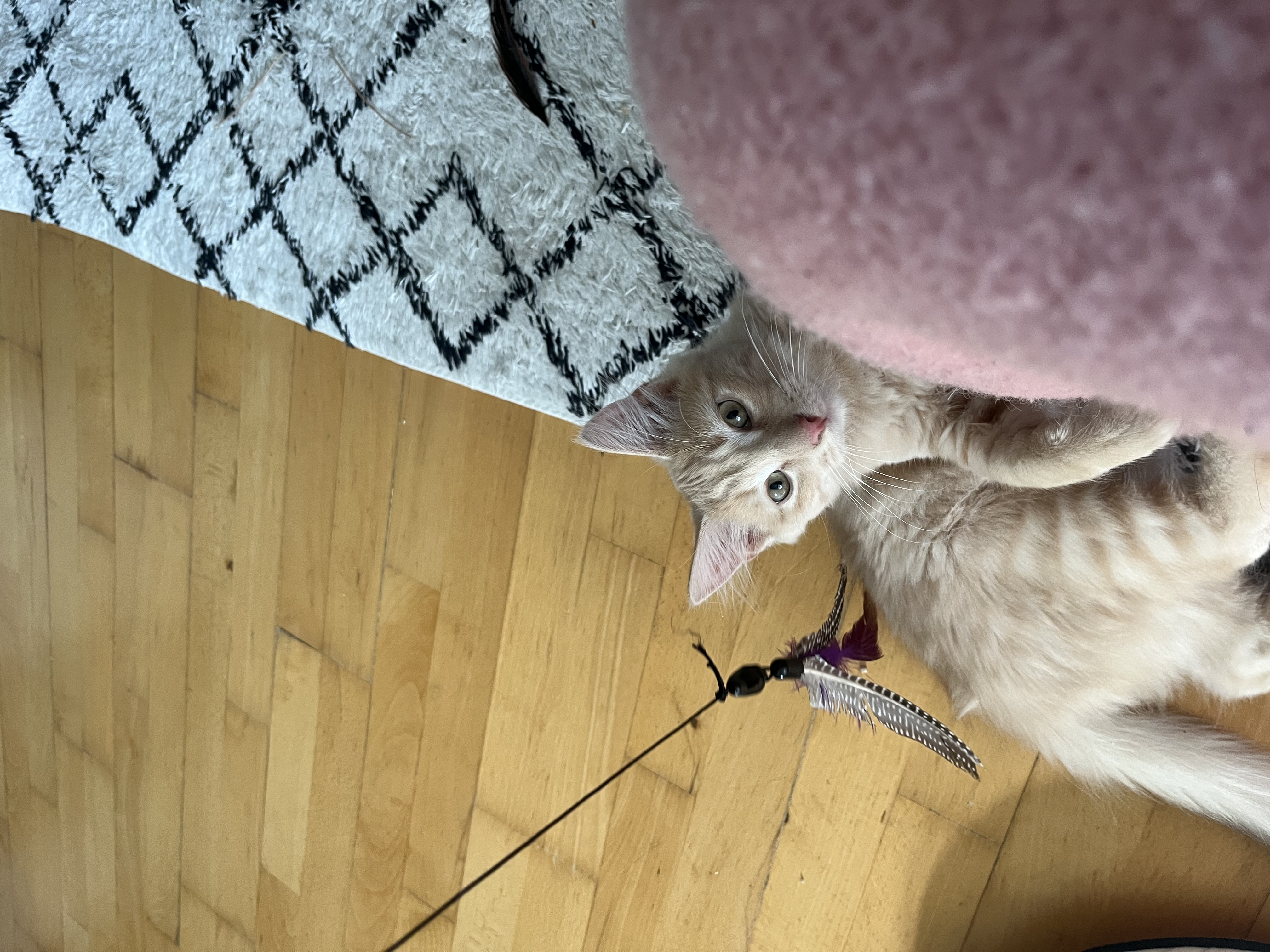 image-8