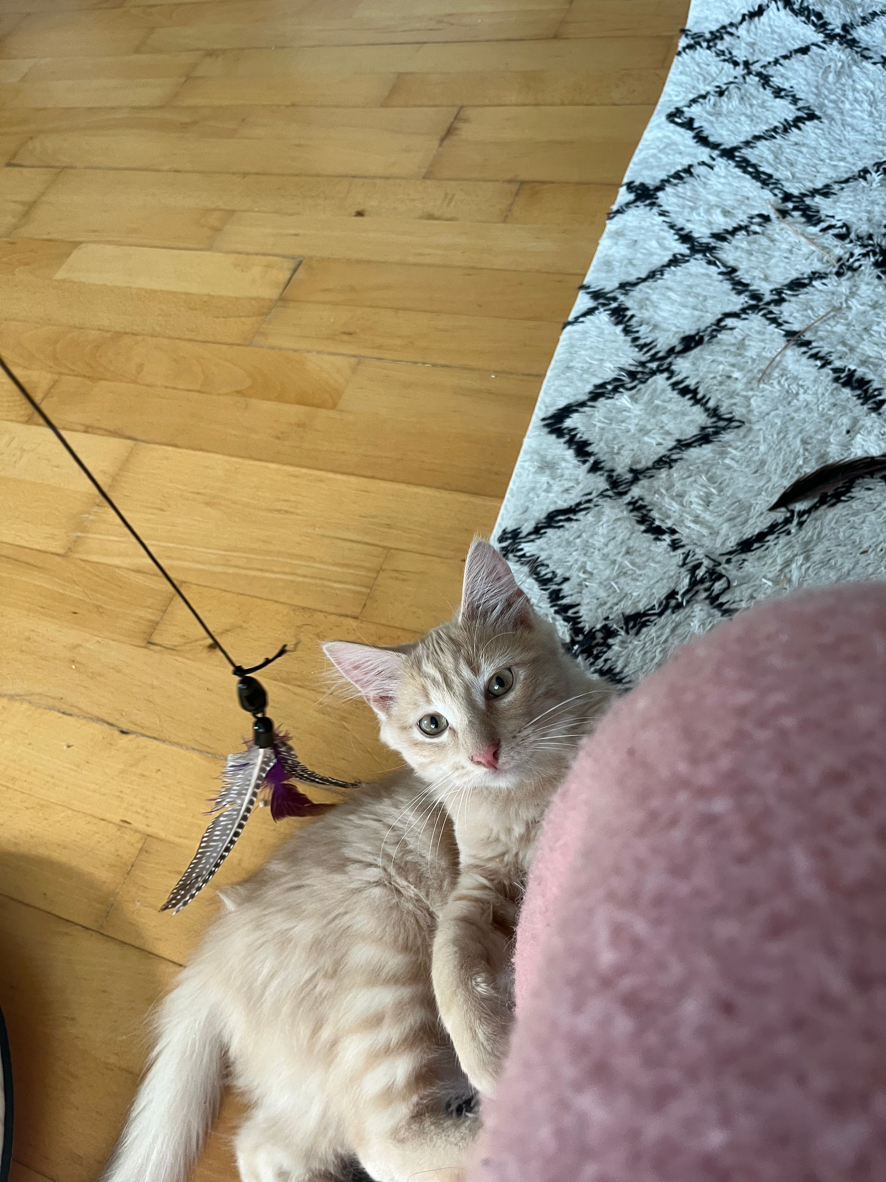 image-8